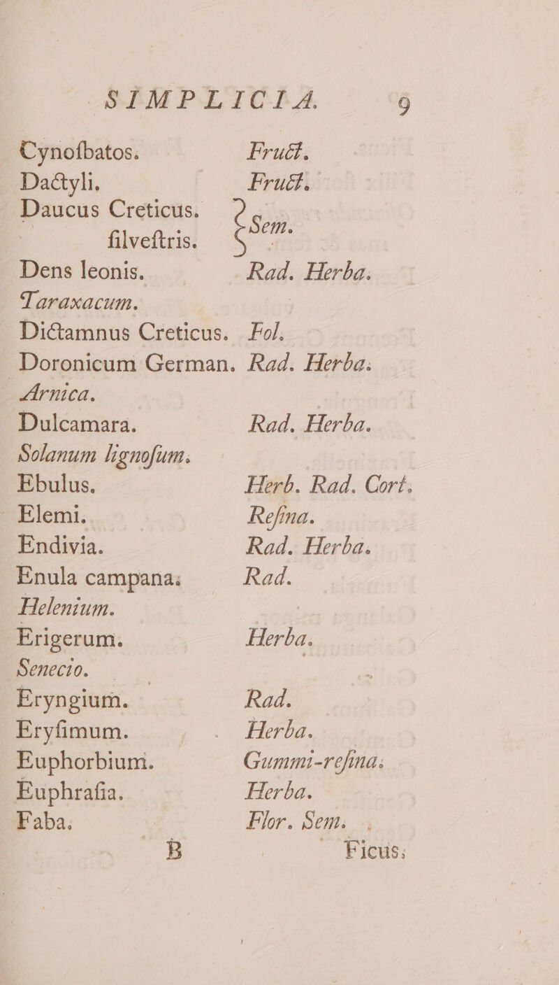 Da&amp;yli. Dens leonis. dgdaraxacum. Arnica. Dulcamara. Ebulus. - Elemi. Endivia. Enula campana; Helenium. Erigerum. Senecio. | Eryngium. Eryfimum. Euphorbium. Euphrafia. Faba. Rad. Herba. Fol. Rad. Herba. Rad. Herba. Herb. Rad. Cort. Refina. Rad. Hera. Rad. Herba. Rad. Herba. ...... Gummi-refina; Herba. Flr. Sem. . — Ficus;