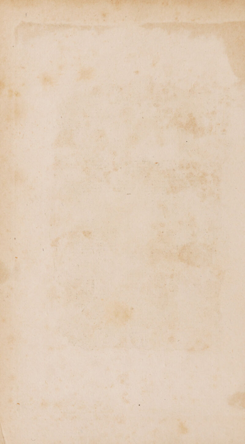 Pale Sex ATT ot er ar Ad