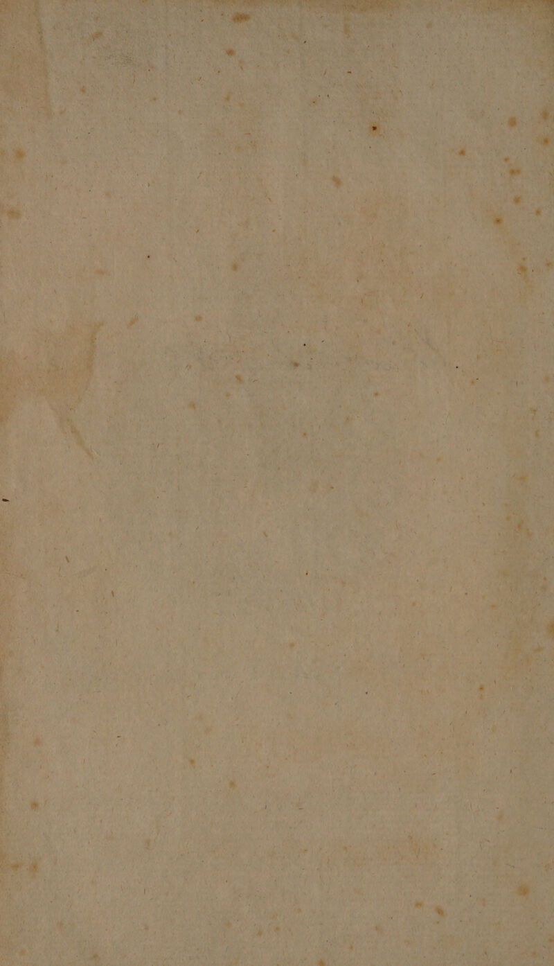 = pes —* - +3 ~ Sis Say]