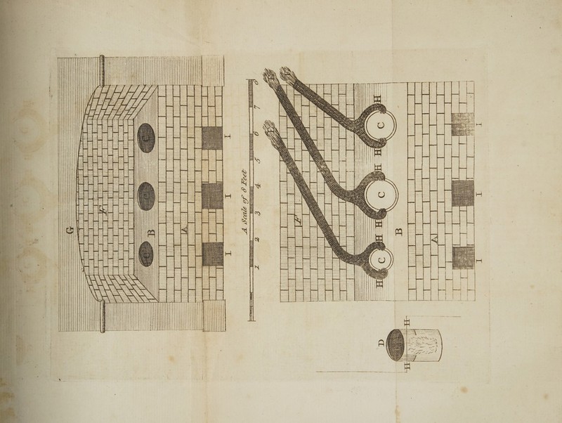 Z vA gs E g AA “s @ P “ MMIII OCC Frc tors IOLUCMLVVEG AREAL ARE L TT | WME CORREA AACA EASA AE A —s | x , = ——- ——) { ) a HNNNVGIRGLAN SURHATY isis Rusnvnenee, - a Fi —