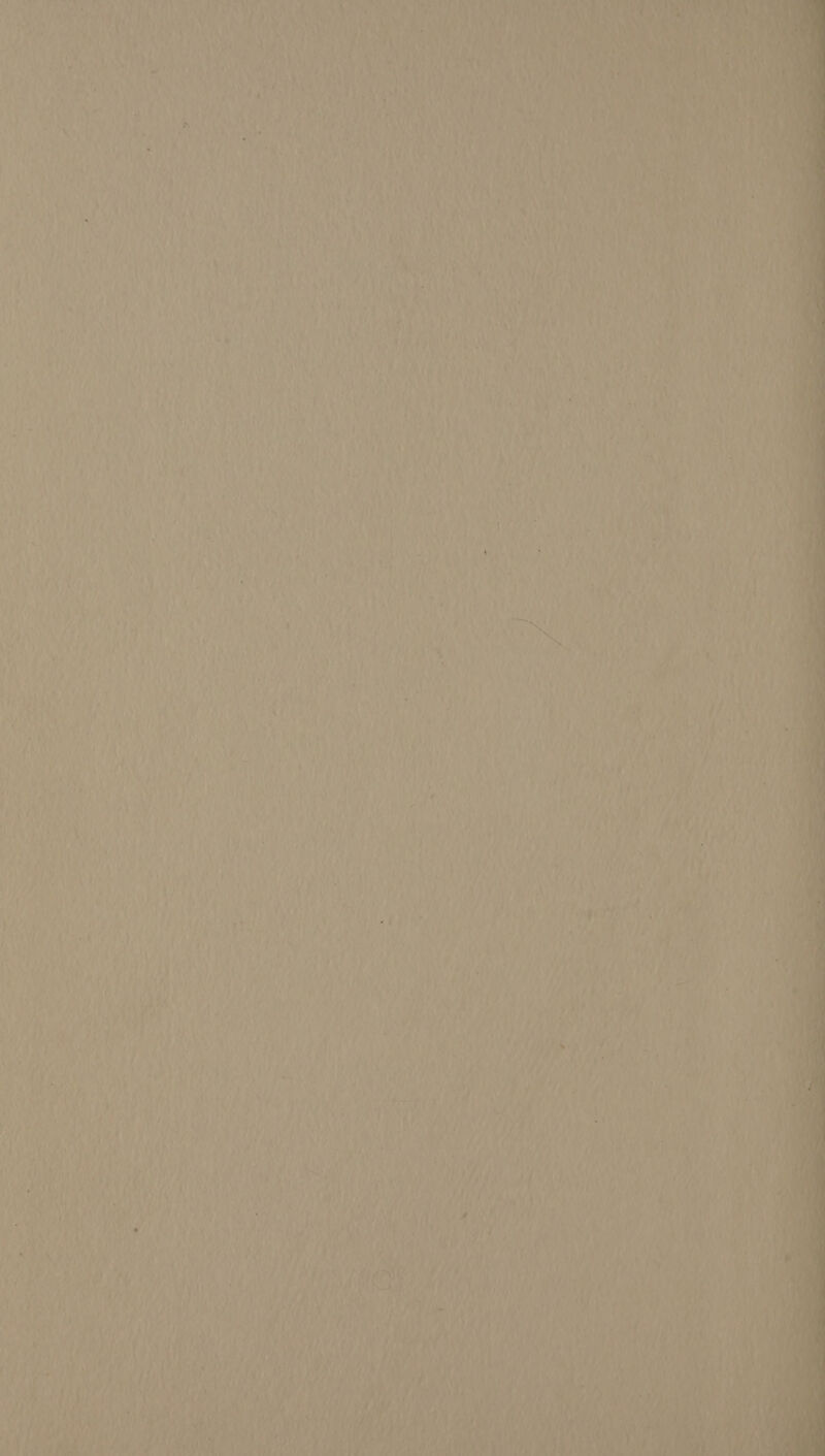 rs ae Oa P. i rf, CX i Bi e \ + , A YS, Ry’ tv aan bury Ce ir Bet heb Re ET a WS ta eet Ate a eLUS ACU E eat $ ‘ ‘ ; Py 1 ¥ ie f : i _ ‘ Ma § yf ‘4 )