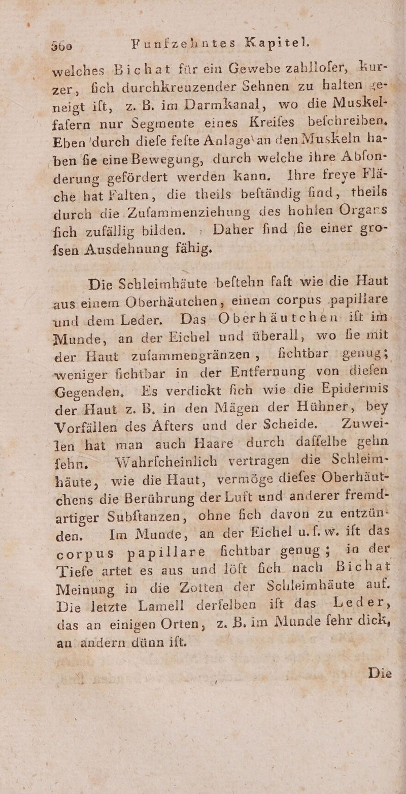 welches Bichat für ein Gewebe zabllofer, kur- zer, fich durchkreuzender Sehnen zu halten ze- neigt ilt, z.B. im Darmkanal, wo die Muskel- falern nur Segmente eines Kreifes beichreiben, Eben 'durch diefe felte Anlage\an den Muskeln ha- ben fie eineBewegung, durch welche ihre Abfon- derung gefördert werden kann. Ihre freye Flä- che hat Falten, die theils beftändig find, theils durch die Zulammenziehung des hohlen Organs fich zufällig bilden. ; Daher find be einer gro- {sen Ausdehnung fähig. Die Schleimhäute beftehn faft wie die Haut aus einem Öberhäutchen, einem corpus ‚papiliare und:dem Leder. Das Oberh äutchen- ift im Munde, an der Eichel und überall, wo De mit der Haut zufammengränzen , hichtbar genug; weniger fiehibar in der Entfernung von diefen Gegenden, Es verdickt fich wie die Epidermis der Haut z. B, in den Mägen der Hühner, bey Vorfülen des Afters und der Scheide. Zuwei- len hat man auch Haare durch daffelbe gehn fehn. Wahrlcheinlich vertragen die Schleim- häute, wie die Haut, vermöge diefes Oberhäut- chens die Berührung der Luft und anderer fremd- artiger Subftanzen, ohne hich davon zu entzün- den. Im Munde, an der Eichel uf. w. ift das corpus papillare fichtbar genug; ia der Tiefe artet es aus und löft Gich_ nach Bichat Meinung in die Zotten der Schleimhäute auf. Die letzte Lamell derfelben ift das Leder, das an einigen Orten, z. B.im Munde fehr dick, an andern dünn ilt. | Die