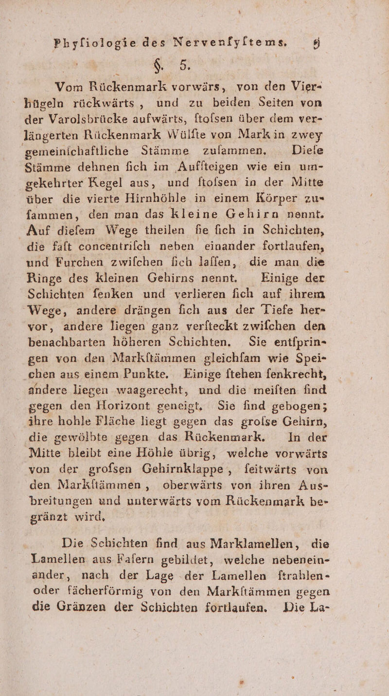 et Vom Rückenmark vorwärs, von den Vier- hügeln rückwärts, und zu beiden Seiten von der Varolsbrücke aufwärts, ftolsen über dem ver- längerten Rückenmark Wülfte von Mark in zwey ‚gemeinichaftliche Stämme zulammen, Diele Stämme dehnen fich im Aufiteigen wie ein um- gekehrter Regel aus, und ftolsen in der Mitte über die vierte Hirnhöhle in einem Körper zu« {fammen, den man das kleine Gehirn nennt. Auf diefem Wege theilen fie fich in Schichten, die falt concentrifch neben einander fortlaufen, und Furchen zwifchen fich laffen, die man die Ringe des kleinen Gehirns nennt. Einige der Schichten fenken und verlieren fich auf ihrem Wege, andere drängen fich aus der Tiefe her- vor, andere liegen ganz verfteckt zwifchen den benachbarten höheren Schichten, Sie entiprin- gen von den Markftänmen sleichlam wie Spei- ‚chen aus einem Punkte, ieiEs ftehen fenkrecht, andere liegen waagerecht, und die meiften find gegen den anlsns geneigt, Sie find gebogen; ihre hohle Fläche liegt gegen das grolse Gehirn, die gewölbte gegen das Rückenmark. In der Mitte bleibt eine Höhle übrig, welche vorwärts von der grofsen Gehirnklappe , feitwärts von den Narkliämmen , oberwärts von ihren Aus- 'breitungen und uuterwärts vom Rückenmark be» gränzt wird, Die Schichten find aus Marklamellen, die Lamellen aus Falern gebildet, welche nebenein- ander, nach der Lage der Lamellen ftrahlen- oder fächerförmig von den Markfiämmen gegen die Gränzen der Schichten fortlaufen. Die La-