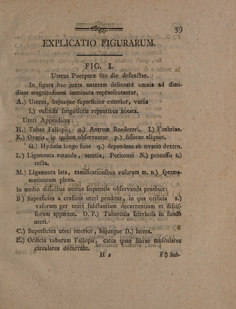 »ilj 3l 3ad2i a ID e pn | E EG. ui LE Na aibad di — lUterus Puerperz to. die. defunctae... ab dn .figurá ;hac-jüta , natüram -delineátà omnia &amp;d dimi- inns magnitudinem imminuta: reptaefentantur, 9upovg pe à) Uteris, hojüsque fuper ficiéé extetior, vifüs'- 3 3) veftis Tiligáiferis répentibus hotiti. C Lin - Uteri APPEAR m ! ici BOX Tubae. Fallopiis; i99). isa en. l1. Eimibriae. , dax Oyaria , in. quibus, obferyantur,.. .po.fifurae aliquot, — . *4Q.) Hydatis longo fune ^q.) dependens. ab: óyarió dextro. L) Ligamenta rotunda ; ^teretia;. -Peritonei. ÓN, j) pronelu t5) tecta. M.) Ligamenta lata, ers EN valorem m. n.) berme- | . ,maticorum peus. à in in peti difcdus u uterus s quein olfervanda pem Los f .72 Bc wk wow fa 4 »piÉ $2 * Superis uteri ititeior , lise D. iu vae ve FUN Orificia t&amp;barum fallópi; Circa Yos ae fibrae tübfculáres T exi iO it 4 He kN ^ farsi &amp;irculares de Cürtüht. !  COIT i