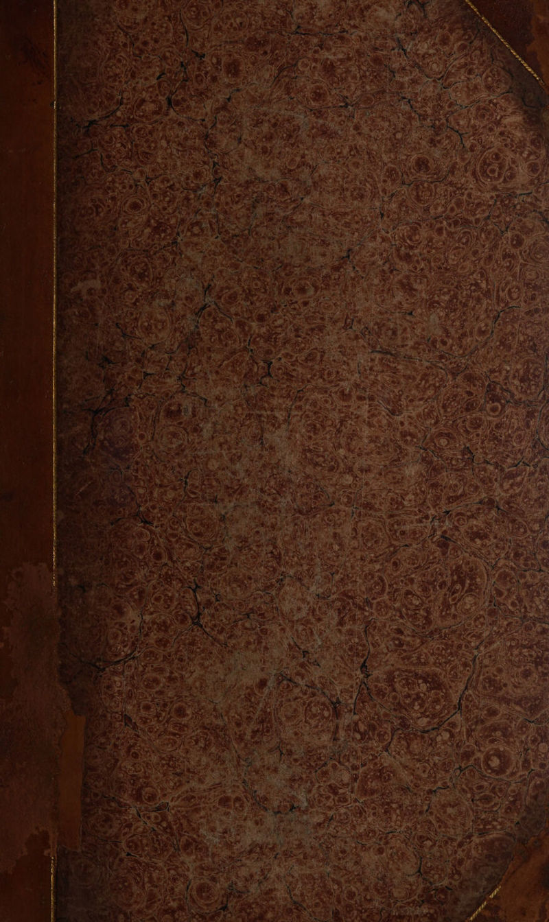 - 5 ’ ; ? a . 4 ¢ ae a eS he nN Fa SN Om a eee ee a ee