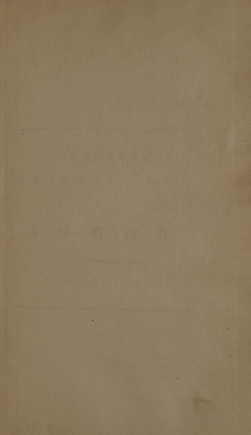 ey ~ none haar sie Re ie 08 eG, ee ee ey eee adcus / »