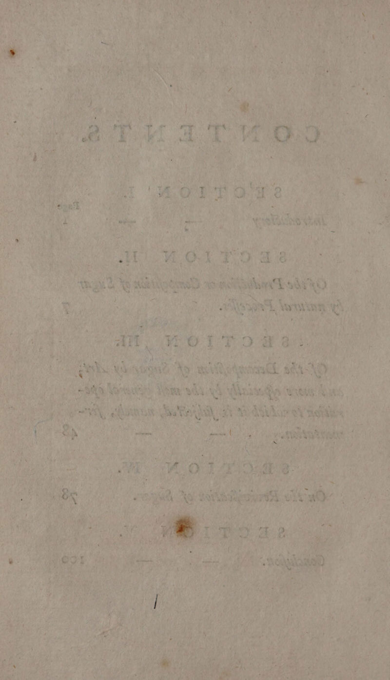 BS LANG sr, ae Oy Th) ¢ tae ae Ph bs he 7 * . f e i 2 ie ve 4)