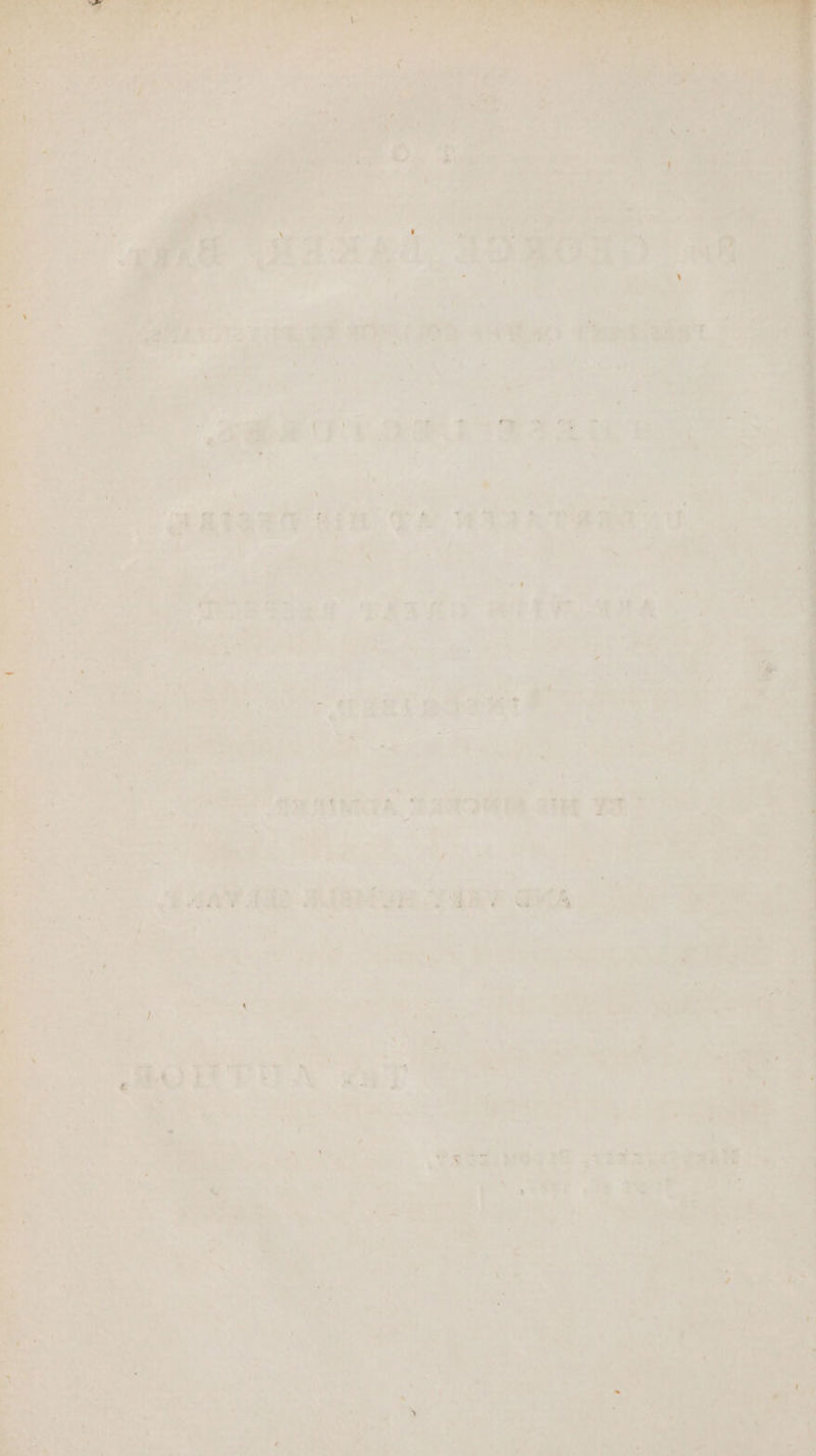 ; “eS oe : f mn | + * Oa nar “ ¥ r ie e ae + 2 4 F > 2 33 p capa ete of a fe & x J 4 3 is <e wa ie ee i oe pg aera! : gm € 7 ; ; * be MAIZE Cin TA Waa A Tes f 7’ Oe ¥ . ; - : Stra. ie a. my Ee RHA 4 Ree * “eS ; © naa al ; ye : a = ; < es i s $= J ms ae ‘0M = DAAV ASS RORIYR. TERY CHAS on 2933 r le i tae ag > -