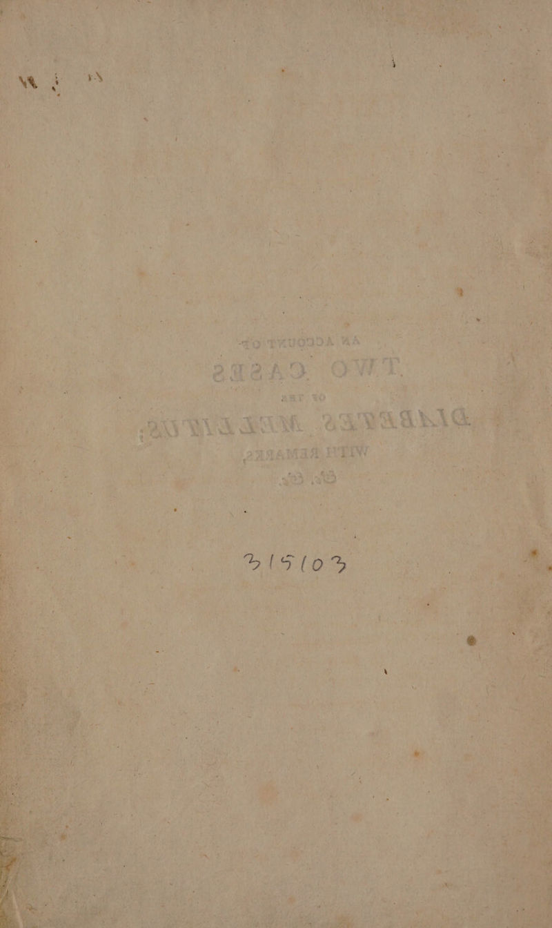 iBRUORDA m: ‘eae ho OW. ABT, 2O 5 & ty i ‘3 § Bales 4 t A ts