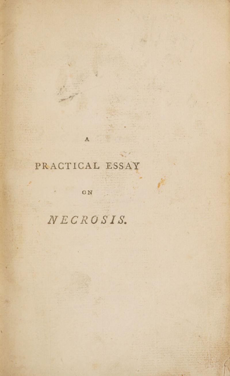 PRACTICA! - NECRO - oe ed ae 44 SIS. it a ye 2 $ &gt; i