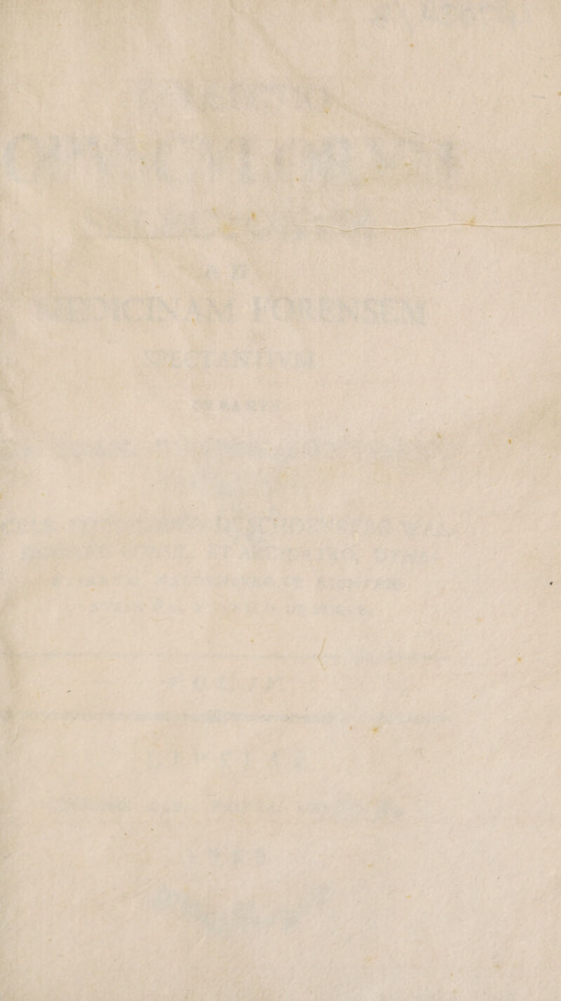 ri Wis go ar A iecs ados. ds T EE DEUS LIEU Mis MI