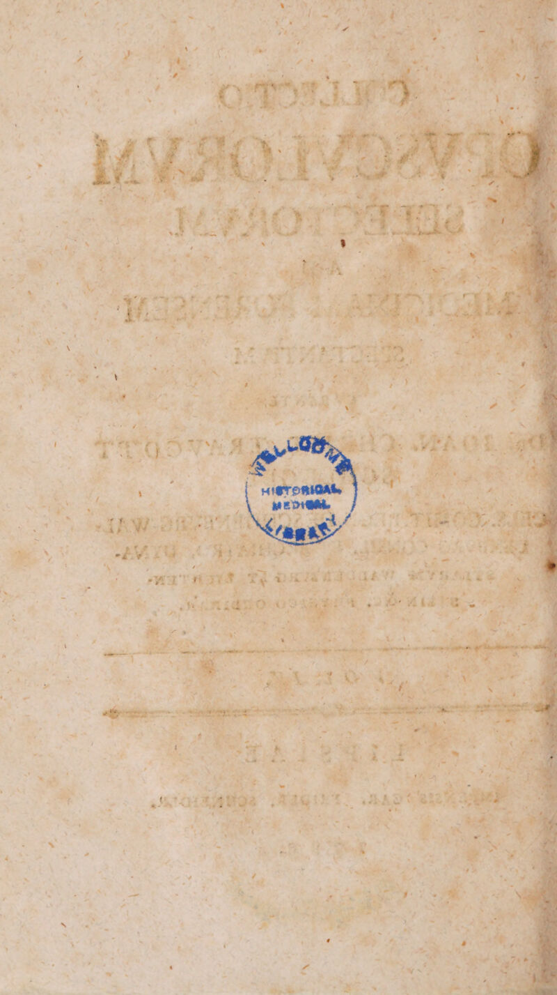 ^ E a Ks npe m  Masc o Ar: 2 2 48 ? v E 4 E  - Á * pt ra. 5e X1 d. - 5 ^ i Ill ' d EE &amp; , ^, - N- EL. D A M A * * ns aca A n : 2 ra v ; HX * Ri? , - LI m  - t. &amp; e ) UEM f Pur $ v -- » e / 2 J $ Vu — à XT Kx Ps [3 à 4 es. Y * J 9 4 i à a I  R E m LI E 4 4 v ^. has  IE RN