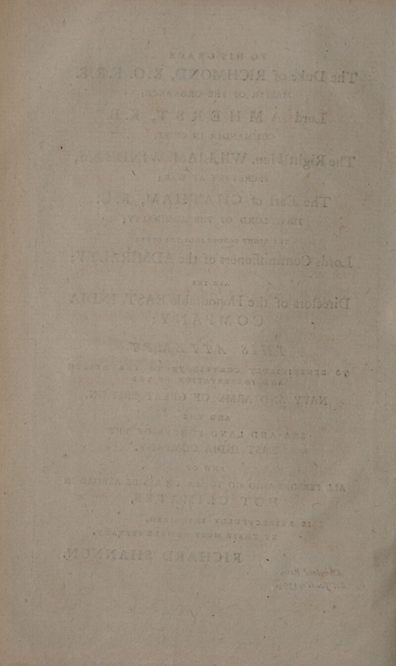 riilastons is ha epaees re werkt ns = ae othe » AF DA ROE ot a z ial tiie cs AMMOD. 4 ba: bass 6 es ERT (a ee $F oe legit vat i ae 4 t a 40% BO ROUEAG A 8 He AO aaA f Be tha \ ial a Babs ee av OW Rt at 3 AE oo 4 Sores ae 14 i eee J Eat #.