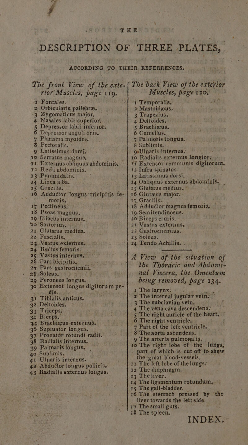 rior Muscles, page 1 es Orbicularis pallebra. Zygomaticus major, — Nagsales labii superior. Depressor labii inferior. Depressor anguli oris, Platisma inyoides; Pectoralis. Latissimus dorsi. 19 Serratus magnus, ¥1 Externus obliquus abdominis. x2 Recti abdominis. 13 Pyramidalis. 14 Linea alba. ¥5 Gracilis, _ 16 Adductor longus’ tricipitis fe- moris, 17 Pedctineus. 18 Psoas magnus. 19 Mliacus internus. 20 Sartorius, * z1 Glutaeus medius. 22 Fascialis. 23 Vastus externus. 24 Rectus femoris. — 25 Vastusinternus. 26 Pars bicipitis, ; 27 Pars gastrocnemii, © 28 Soleus, ‘29 Peroneus longus. . 30 Soe ak longus rp Arb pe- “ Boia 31 Tibialis anticus, 32 Deltoides. Triceps. 34 Biceps. 35 Brachieus externus. 36 Supiuator bongus, 37 Pronatdr rotundi radii. 38 Radialis internus. 39 Palmaris longus. . 49 Sublimis. 41 Ulnaris internus. 42 Abductor longus pollicis. 43 Radialis externus longus. eee ANP WN H Muscles, et al 120,' f Temporalia.?)*).'e ¢- ake 2 Mastoideus. 3 Trapezius. 4 Deltoides. 5 Brachizus, 6 Gamellus. 7 Palmoris longus. § Sublimis. , geUlnaris internus, 10 3 Radialis externus longior: 1¥ Extensor communis matonuts. 12 Infra spinatus. 13 Latissimus dorsi. 14 Obliquus externus abdominis. _ 15 Gluteus medius. © . 16 Gluteus major: 17.Gracilis. , ; 18 AdduCor magnus fem oris, 19 Semitendinosus. 20 Biceps cruris. - 21 Vastus externus. 22 Gastrocnemius. 23 Soleus. 24 Tendo Achillis. . A View of the situation of the Thoracic and Abdomi- nal Viscera, the. Omentum being removed, page 134. 1 The larynx: . a The internal jugular vein: 3 The subclavian vein. 4 The vena cava descendens. 5 The right auricle of the heart. | 6 The right ventricle. 7 Part of the left ventricle. 8 The aorta ascendens. 9 The arteria pulmonalis. | 10 The right lobe of the lungs, _ part of which is cut off to shew the great blood-vessels. 11 The left lobe of the lungs- 12: The diaphragm. | 13 The liver. 14 The ligamentum rotundum, 15 The gall-bladder. 16 The stemach pressed by the liver towards the left side. 17 The small guts. . 43 The spleen, INDEX.