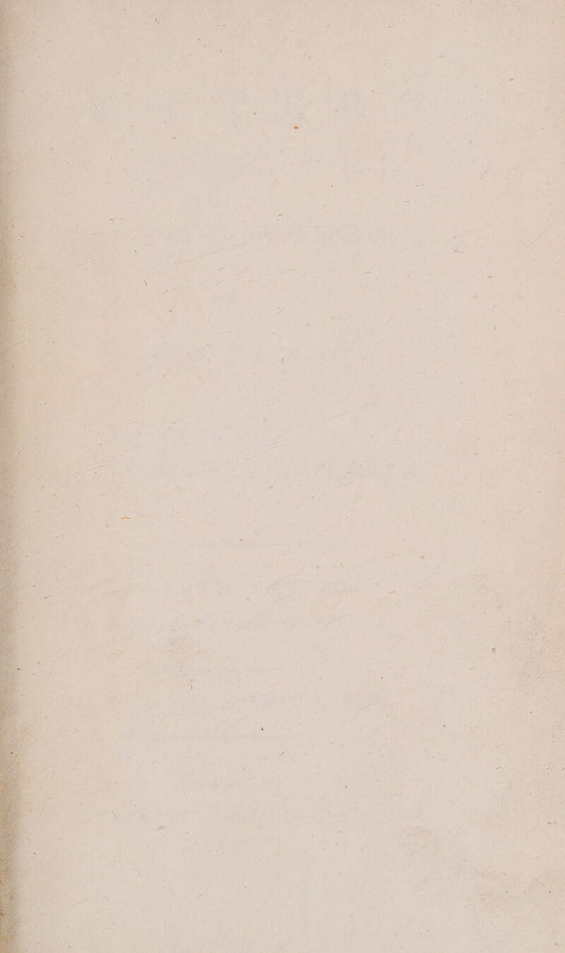 . oh ‘; © ' < ‘ iy i \ \e ‘ ‘ a t ™ Va 4 K bs ry . * % b ‘