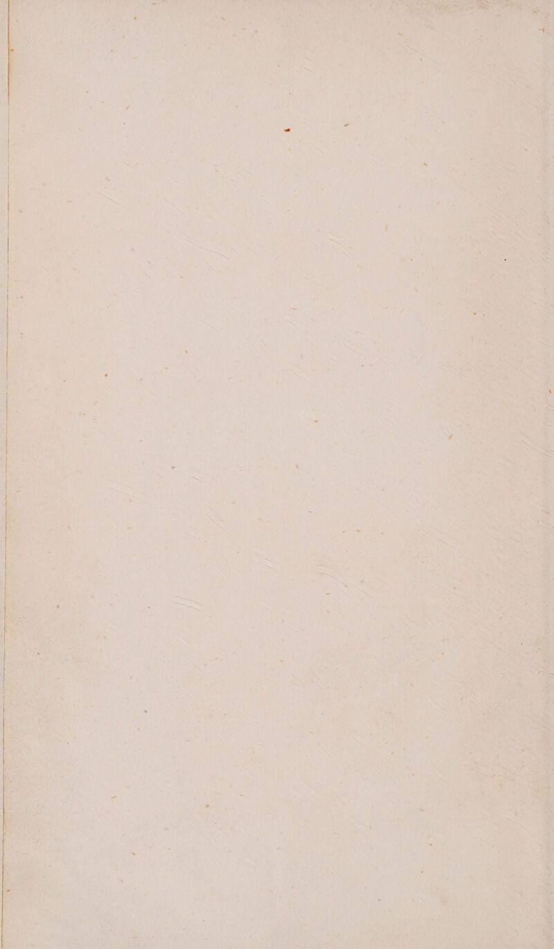 - a LG see ri % Va aa - y; > et ¥