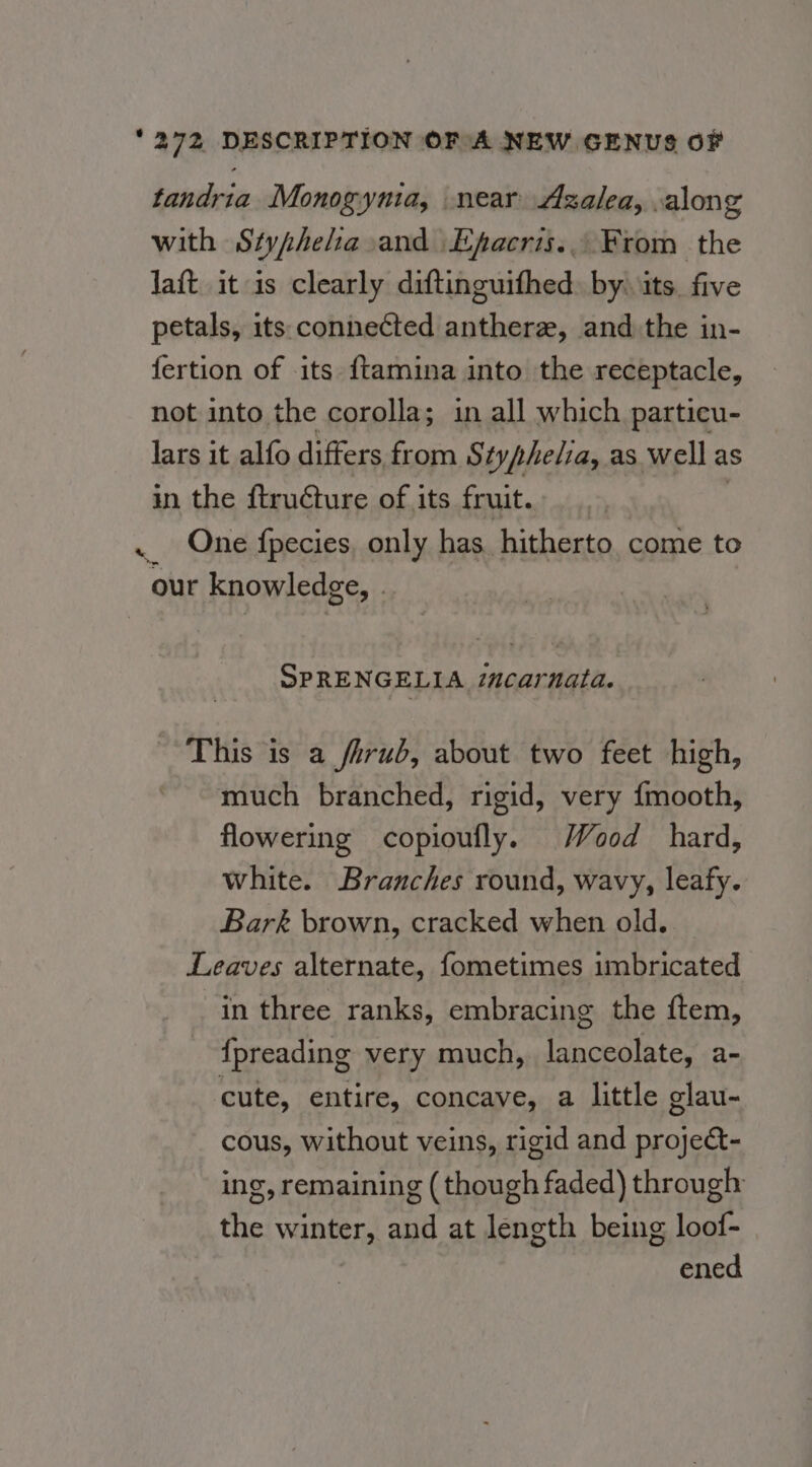 tandria Monogyma, near Azalea, along with Styphelia and Epacris.. From the Jaft it is clearly diftinguithed. by. its, five petals, its connected anthere, and the in- fertion of its {tamina into the receptacle, not into the corolla; in all which partieu- lars it alfo differs from Siyphelia, as well as in the ftru@ture of its fruit. One fpecies, only has hitherto come to SPRENGELIA icarnata. This is a fhrub, about two feet high, ~~ much branched, rigid, very fmooth, flowering copioufly. Wood hard, white. Branches round, wavy, leafy. Bark brown, cracked when old. _ Leaves alternate, fometimes imbricated in three ranks, embracing the ftem, {preading very much, lanceolate, a- cute, entire, concave, a little glau- cous, without veins, rigid and proje&amp;- ing, remaining (though faded) through the wine and at length being ear ened