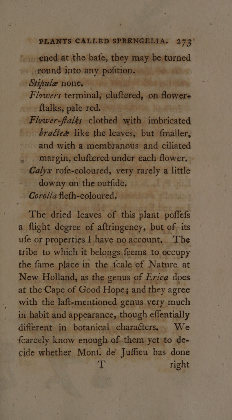 '.,ened/at the bafe, they _ be turned &gt; .around inte ne pobitianes Hay. 9 » Mapwle nonce &gt; vee BRS Sh wpeid Oe Flowers ter unin ohnttone on flowers -ftalks, pale red, Flower-ftalks clenirads ish; ibidcnted braéle@ like the leaves, but f{maller, and with a membranous and ciliated margin, cluftered under each flower, © Calyx rote-coloured, very rarely a little downy on the outfide, Corolla flefh-coloured. Qo _ wdabiie dried leaves of this ores poftefs a flight degree of aftringency, but of its ufe or properties I have no account, . The tribe to which it belongs, feems to occupy the fame place in the {cale ‘of Nature at New Holland, as the genus of Erica does at the Cape of Good Hope; and they agree with the laft-mentioned genus very much in habit and appearance, though effentially different in botanical characters, We {carcely know enough of. them yet'to de- cide whether Mont. de’ Juffieu has done Vee right