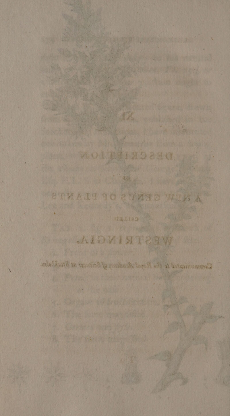 va | a A h ee bt {\ avi ) 1 \ 4 I} bats Naie 3 ; i &amp; ; ‘ ‘ ss Peaney teats. : 4 ; ¥ fe a ; m1) ; 55 , ' f ; tye Fin 3 ; As te Ae : Nh ‘“ 4 es a an ; PM wilh Bt me ea : ‘ 4 4 » re mi { % ( a A “ X “yd er. , : mY le ct ee + AOU AT Pc + : - - | ; y he: ( maa nes Anish, 5 ahh — En a ae vee ‘, | Be bit ith inert al) Racine. ae ee. ae. aie. Ne