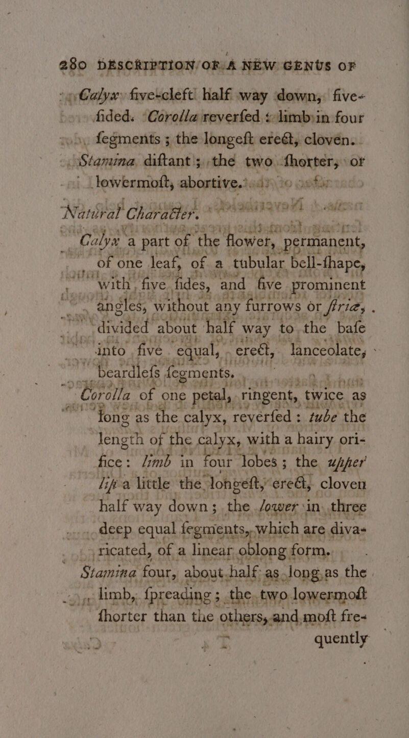 ‘Calyx five-cleft: half way down, five- fided. ‘Corolla reverfed ¢ limbyin four . fegments ; the longeft ereét, cloven.. _ Stanima, diftant; the two -therter, > or lewermott, abortive.’ adie asi Natdrat Charatter. sa phar enh Mufaokt pCa Baap “Calyat- a part « of the flower, permanent, of one leaf, of a tubular bell- -thape, Nii ' with | five. fides, and five. prominent : t; | Wait ie angles, wit out any furrows or frie, ‘my see! about half w way to the bafe Facey five. equal, ereél, “lanceolate, - = - beardlefs fegments, Nein ll A + ¢i4% PiAlTe “Corolla of one petal, ringent, twice as | ‘fone as the calyx, revered : ‘tube the ehern of the calyx, | with a hairy ori- fice hb 3 in four ‘Jobes ; the upper lip a little the loneeft,’ ered, cloven half way down $ hy lower \i in. three .... deep equal fegments,, which are divas ricated, of a linear. blong, form, Stamina four, about. half as Jong, as the | _ limb, _{preading ; the. two lowermodt “ fhorter than the others,.and moft fre- r quently 28 ta oy _ eit