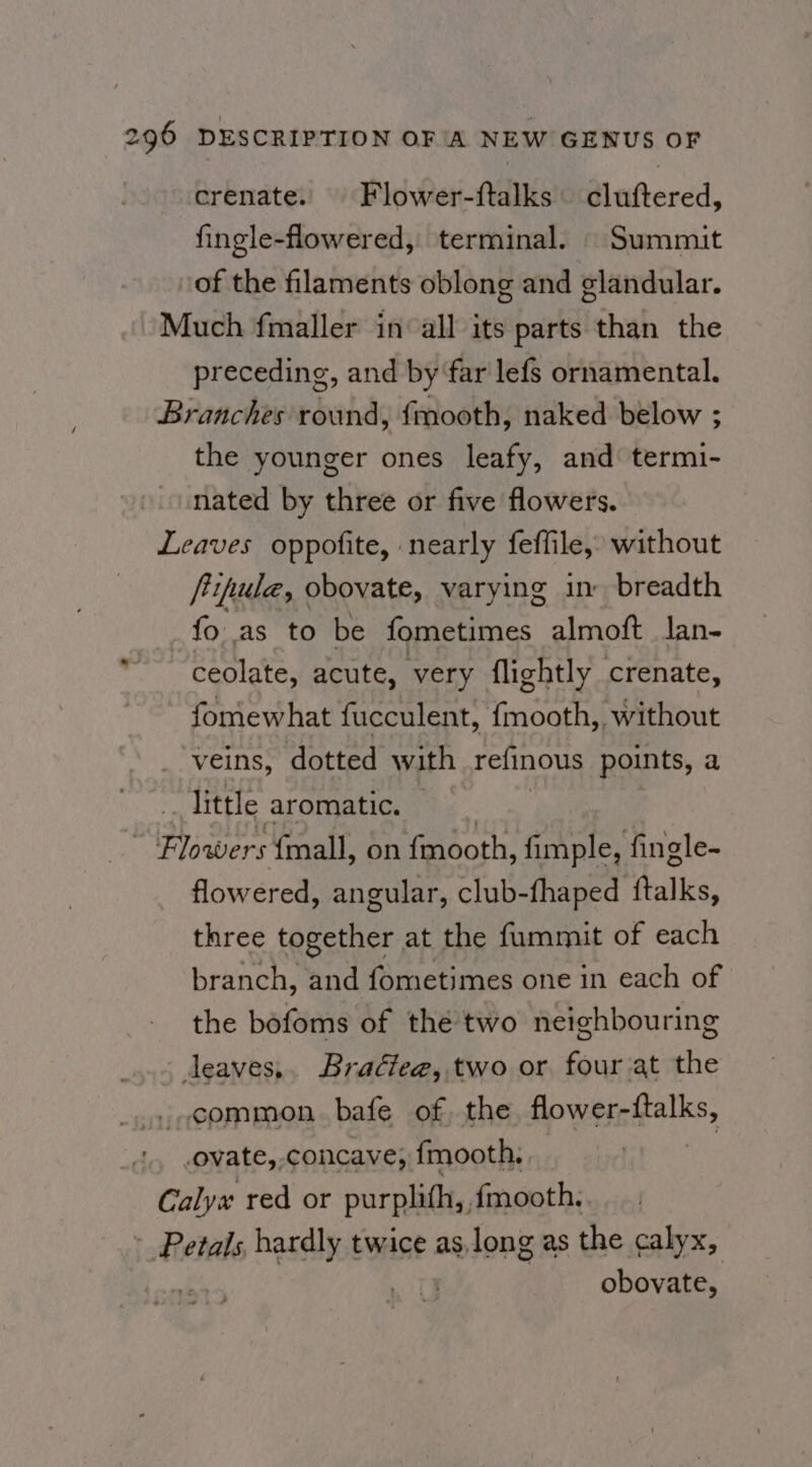 crenate. Flower-ftalks cluftered, fingle-flowered, terminal. Summit of the filaments oblong and glandular. Much fmaller in all its parts than the preceding, and by far lefs ornamental. Branches round, {mooth, naked below ; the younger ones leafy, and termi- nated by three or five flowers. Leaves oppofite, nearly feffile, without ftifpule, obovate, varying in breadth fo as to be fometimes almoft lan- ~ceolate, acute, very flightly crenate, fomewhat fucculent, {mooth,, without veins, dotted with refinous points, a little aromatic. — igh {mall, on fmooth, fickale: fingle- flowered, angular, club-fhaped nite, three together at the fummit of each branch, and fometimes one in each of the bofoms of the two neighbouring leaves,. Bradlee, two or four at the ..common bafe of. the flower-ftalks, . .ovate,-concave, fmooth, cave red or purplith,, fmooth. Petals, hardly twice as,long as the calyx, obovate, -