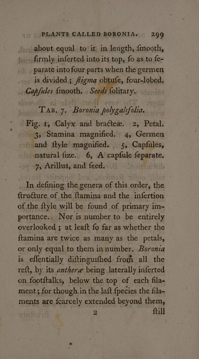 1, about equal to’ it’ in length, {mooth, ..» firmly, inferted,into its top, fo as to fe- _ parate into four parts when the germen is divided; /rzgma obtufe, four-lobed. _Capfiles imooth, Seeds solitary. | Tan, 7, fee jolygal rey i Fig. 1, Calyx and bra¢tée. 2, Petal. 3, Stamina magnified. 4, Germen » and ttyle reuubiv elcid _ 5, Capfules, matural fize.. 6, A’ capfule cK, pha 7s Arillus, and feed, _ In deGhine the. genera of this order, the ftruéture of the ftamina and the infertion of the {tyle will be found of primary im- portance., Nor is number to be entirely overlooked ; at leaft fo far as whether the {tamina are twice as many as the petals, — or only equal to them innumber. Boronia is effentially diftinguithed from all. the reft, by its auther@ eae laterally inferted on footftalks, below the top of each fila- ment ; for though. in the laft {pecies the fila- ments are fearcely extended beyond them, | 2 | ftill