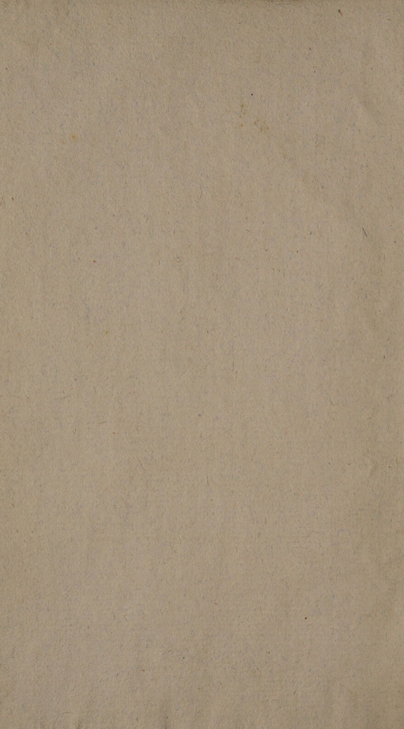 : i EUM ? e ? TU Pao 911 pu SM MR