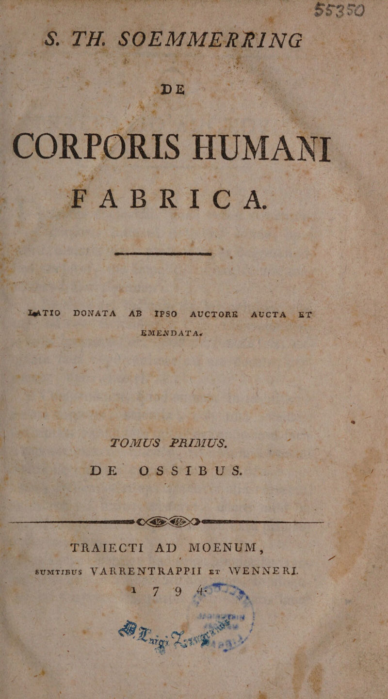 S. TH. SOEMMERRING : ^ nr WD Pom E. | «3l ed KT , : MD E | x * / M t. Tm JÉABRICA s s Es. Í E ^AaTIO DONATA AB IPSO AUCTORE AUCTA ET EMENDATA: | P ^ | | — TOMUS PBAIMUS. y , DE OSSIBU S 3: De 4770 - TRAIECTI AD MOENUM, * Pd j sumMrTIbUS VARRENTRAPPII zr VWVVENNERJ. - LECT 1 d2 f TN LM h B » aie 4$ A ON 1 * LN rud. At Ms aa: 7 F ^e we