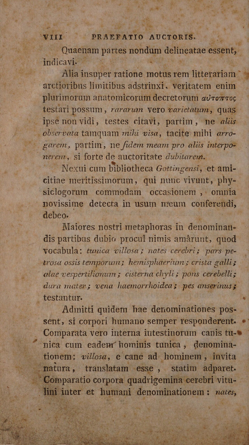 Ae Mer n suat NE. cup es «fe.  ; p ta , EN T e(t A Ei la dai wi k LATIO 03 PRAEFATIO AUCTORIS. iS | Quaenam partes nondum delineatae essent, Alia insuper ratione rotis rem litterariam A. arctioribus limitibus adstrinxi.. Veritatem enim plurimorum anatomicorum decretorum aUco7rroc testari possum ,Tüararum Nero varietatum , quas Fin en — observata tamquam znihi visa, tacite» mihi arro- Nexui cum bibliotheca Gottingensi, et ami- citiae meritissimorum, qui nunc vivunt, phy- siclogorum commodam occasionem ,: omnia novissime detecta in usum n?eum conferendi, debeo. Maiores nostri metaphoras in denominan- dis partibus dubio procul nimis amárunt, quod vocabula: tunica villosa ; nates cerebri; pars pe- alae vespertilionum ; cisterna chyli ; pons cerebelli; dura mater; vena haemorrhoidea 5 | pes anserinus s testantur. Admitti quidem hae ums pos-.
