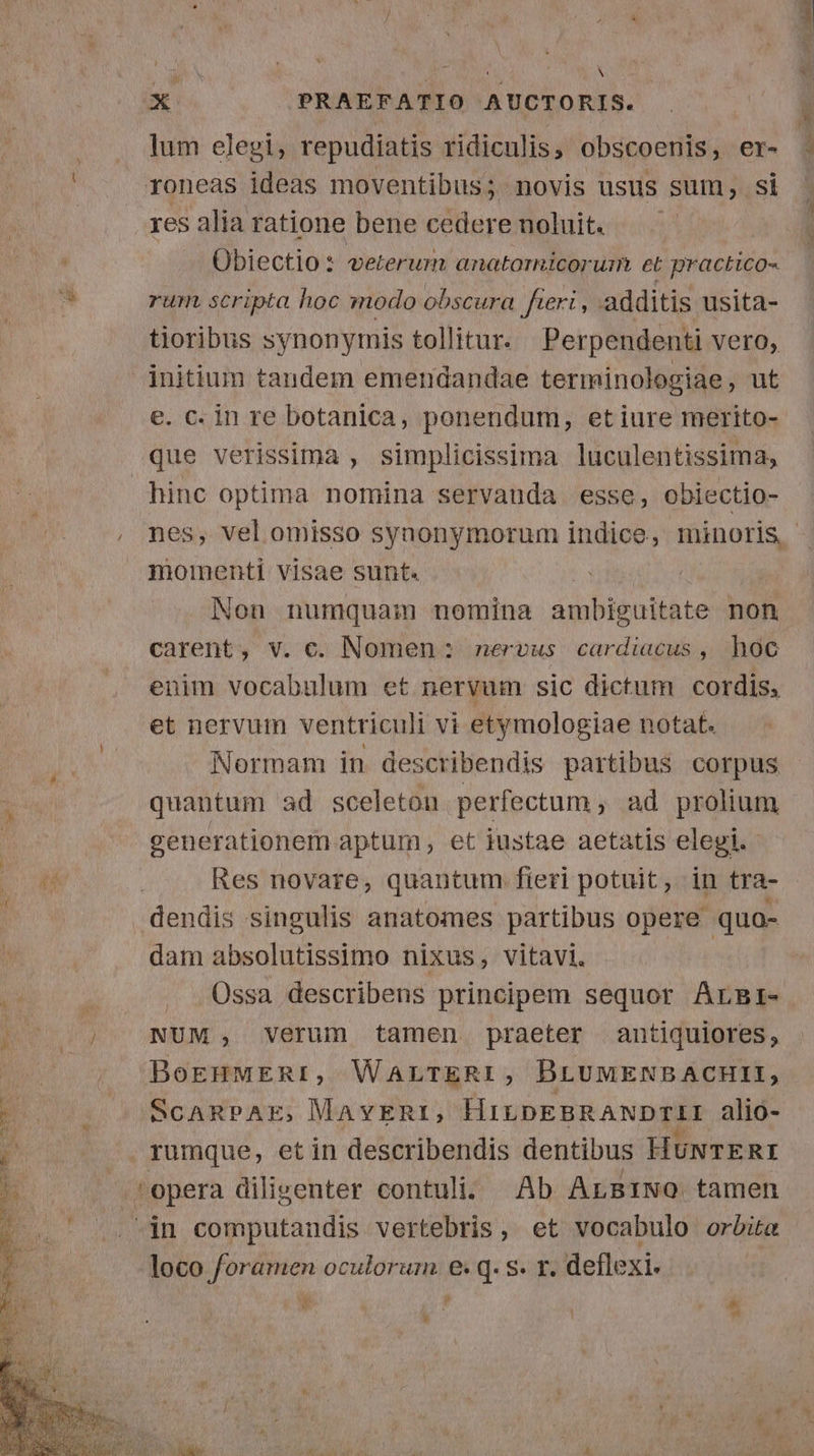 lum elegi, repudiatis ridiculis, obscoenis , er- res alia ratione bene cedere noluit. | Obiectio: veterum anatomicorui et practico- rum scripta hoc modo obscura fieri, additis usita- tioribus synonymis tollitur. Perpendenti Vero, e. c. in re botanica, ponendum, et iure merito- que verissima , simplicissima luculentissima, hinc optima nomina servauda esse, obiectio- nes, vel omisso synonymorum indice, pd. | momenti visae sunt. Non numquam nomina ambiguitate non carent, V. €. Nomen * nervous cardiacus , hoc enim vocabulum et nervum sic dictum cordis, et nervum ventriculi vi etymologiae notat. Normam in describendis partibus corpus quantum ad sceleton perfectum , ad prolium generationem aptum, et iustae aetatis elegi. Res novare, quantum fieri potuit, in tra- dendis singulis anatomes partibus opere quo- dam absolutissimo nixus, vitavi. Ossa describens principem sequor ArsBi- NUM, Verum tamen praeter antiquiores, BoEHMERI, WALTERI, BLUMENBACHII, SCARPAE; MAYERI, HiLDEBRANDTLI alio- pera diligenter contuli. Ab ArB1iwo tamen in computandis vertebris, et vocabulo orbita loco foramen oculorum e. q. S. f. deflexi- T 1 i9 *