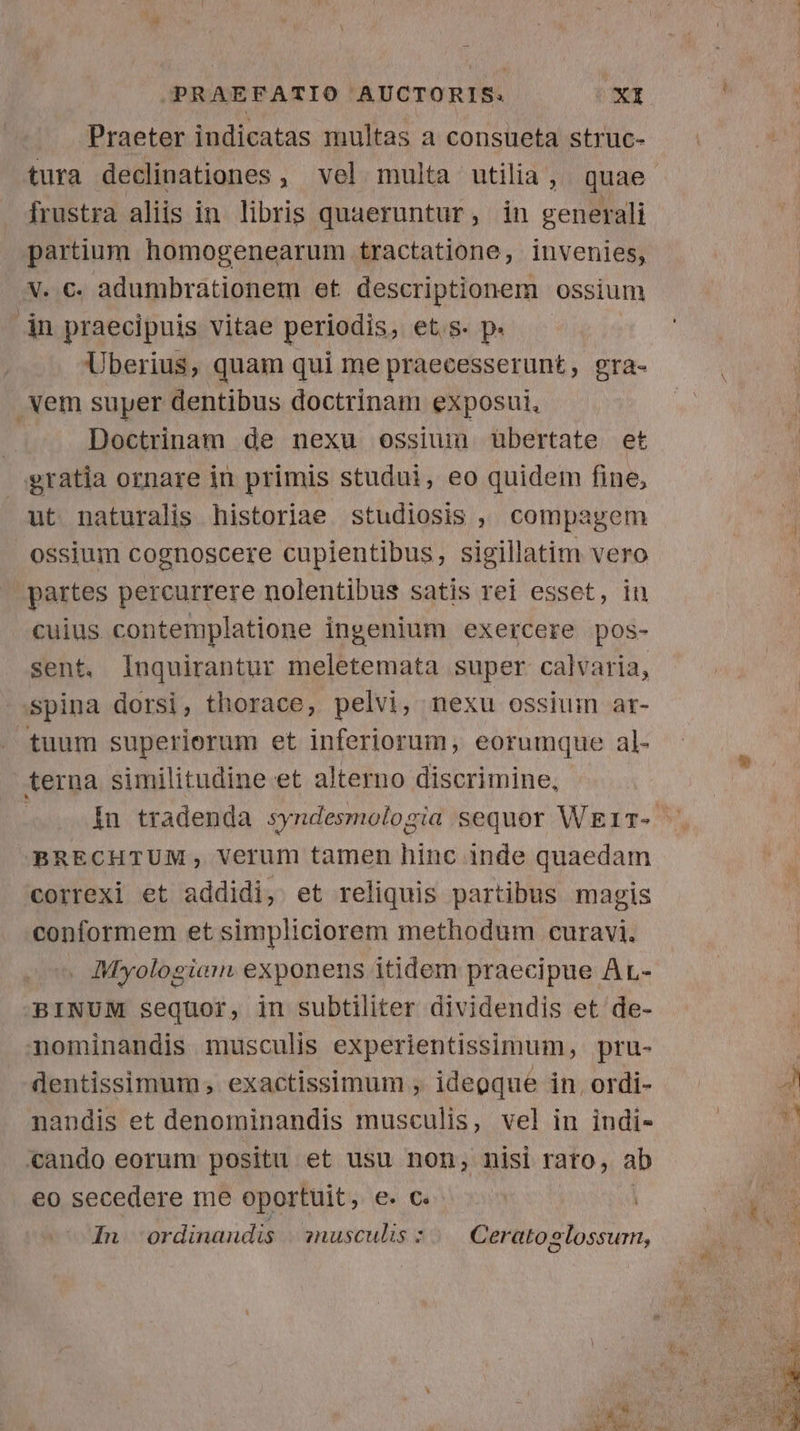 b JPRAEFATIO AUCTORIS. XI Praeter indicatas multas a consueta struc- tura declinationes , vel multa utilia, quae frustra aliis in libris quaeruntur, in generali partium homogenearum tractatione, invenies, v. €. adumbrationem et descriptionem ossium in praecipuis vitae periodis, ets. p. Uberius, quam qui me praecesserunt, gra- . Xem super dentibus doctrinam exposui, : Doctrinam de nexu ossium tübertate et gratia ornare in primis studui, eo quidem fine, ut naturalis historiae studiosis , compagem ossium cognoscere cupientibus, sigillatim Vero partes percurrere nolentibus satis rei esset, in cuius contemplatione ingenium exercere pos- sent. Inquirantur meletemata super calvaria, spina dorsi, thorace, pelvi, nexu ossium ar- tuum superiorum et inferiorum, eorumque al- terna similitudine et alterno discrimine, BRECHTUM, verum tamen hinc inde quaedam correxi et addidi, et reliquis partibus magis conformem et simpliciorem methodum curavi. . Myologianm: exponens itidem praecipue Ar- BINUM sequor, in subtiliter dividendis et de- nominandis musculis experientissimum, pru- dentissimum , exactissimum , ideoque in. ordi- nandis et denominandis musculis, vel in indi- «ando eorum positu et usu non, nisi rato, ab eo secedere me oportuit, e. €. | In -ordinandis | inusculis : Cerato»lossur, E me 07