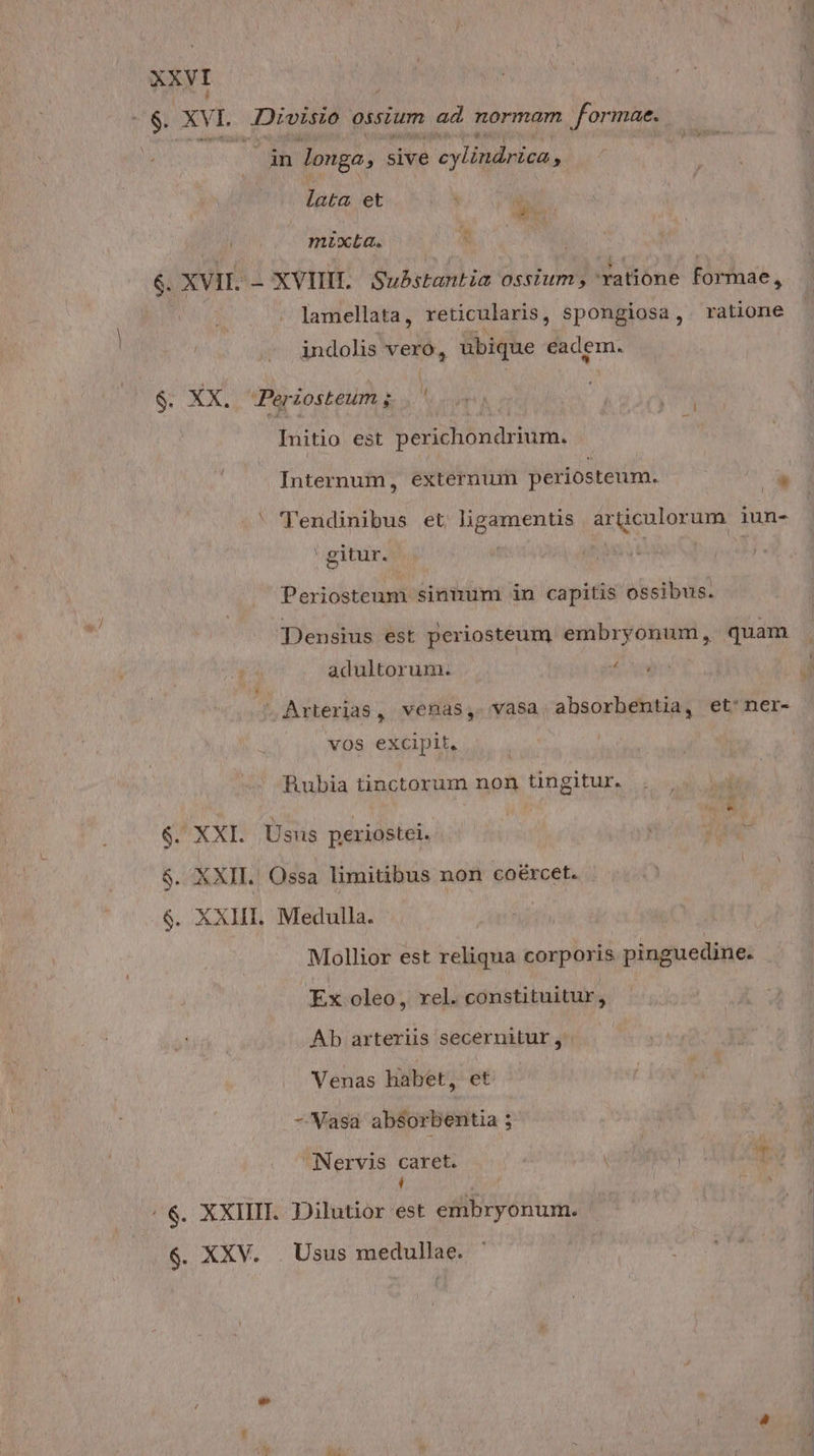 268) xvi. Divisio ossium ad normam formae. uh longa, sive 'eylindrica m lata et : í Mn - To mixLa. 6. XVII. - XVIIH.. Substantia ossium ratione formae, ! lamellata, reticularis, spongiosa, ratione indolis vero, ubique eadem. i S XX. Perzosteum ; i Initio est perichondrium. Internum, externum periosteum. : a 'lr'endinibus et ligamentis articulorum iun- ' gitur. | | Periosteum sintmim in capitis ossibus. Densius est periosteum embryonum, quam adultorum. Ke Noe . Arterias, venas, vasa absorbentia, et:ner- vos excipit. Rubia tinctorum non tingitur. 6. XXI. Usiis periostei. XXII. Ossa limitibus non coércet. 6$. XXIII. Medulla. Mollior est reliqua corporis pinguedine. we Ex oleo , rel. constituitur, Ab arteriis secernitur , Venas habet, et - Vasa absorbentia ; Nervis caret. ' j , / &amp;. XXIII. Dilutior est embryonum. 6. XXV. |. Usus medullae.