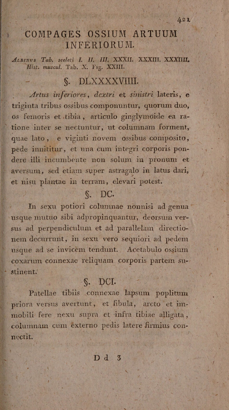 M, T E .CONPAGES OSSIUM. ARTUUM. JNFERIORUM.. | | Msnrvus Tab. ME E gs All. XXxir. XXXIIT, xxxum, Hist. museul. Tab. | PE. XXIII. * s. DLXXXXVIIL Zrtus- inferiores, dextri et sinistri lateris, e ^. [. triginta tribus ossibus componuntur, quorum duo, |. 0s femoris et.tibia, articulo ginglymoide ea ra- J^ tione inter se nectuntur, ut columnam forment, quae lato, .e viginti novem ossibus coniposito, pede innititur, et una cum integri corporis pon- H aversum, sed. etiam super astragalo in latus dari, ^ et nisu plantae i in pomo elevari potest. In sexu potiori Pn nonnisi ad genua ^ | usque mutuo sibi adpropinquantur, deorsum ver- | i .sus ad perpendiculum et ad parallelàm directio- | nen decurrunt, in sexu vero sequiori ad pedem à usque ad se invicem tendunt. Acetabulo ossium 7 -coxarum connexae reliquam cor poris partem su-. ) A sunent. j neve OD. U m | Patellae tibiis .connexae lapsum poplitum Ü priora versus avertunt, et fibula, arcto et im- mobili fere nexu supra. et infra tibiae alligata , columnam cum externo o pedis latere d can corn- E Dd $