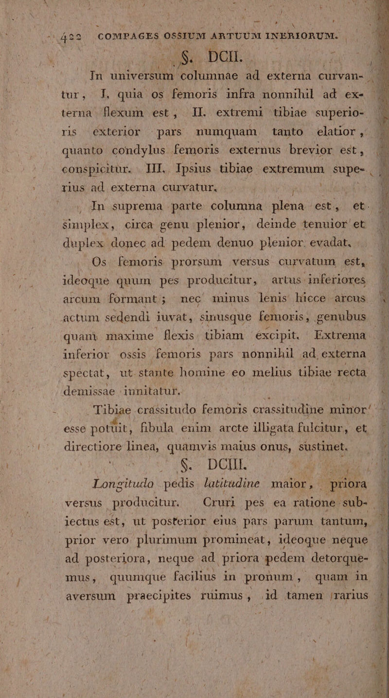 ! is i 2A - i N UE SS COMPAGES OssIUM ARTUUM INERIORUM. Se; DCIL. . H í furi, iuda ios femoris infra nonnihil ad ex- terna flexum est, IL extremi tübiae superio- tius ad externa curvatur. TM $unplex, circa genu plenior, deinde tenuior et duplex donec ad. pedem denuo plenior. evadat. ideoque quum pes producitur, artus. inferiores arcum formant; nec 1ninus lenis hicce arcus actum sedendi juvat, sinusque femoris, genubus. quam, maxime flexis. tibiam éxcipit, Extrema inferior ossis femoris pars nonnihil ad, externa demissae ; innitatur. 4. | M esse potuit, fibula enim arcte illigata fulcitur, et directiore linea, quamvis maius onus, sustinet. Noe IS DOUE i Longitudo pedis latitudine maior , : priora . jectus est, ut posterior eius pars parum tantum, ad posteriora, neque ad priora pedem detorque- mus, quumque facilius in pronum , quam in aversum praecipites ruimus j dd tamen rarius - i A X ^