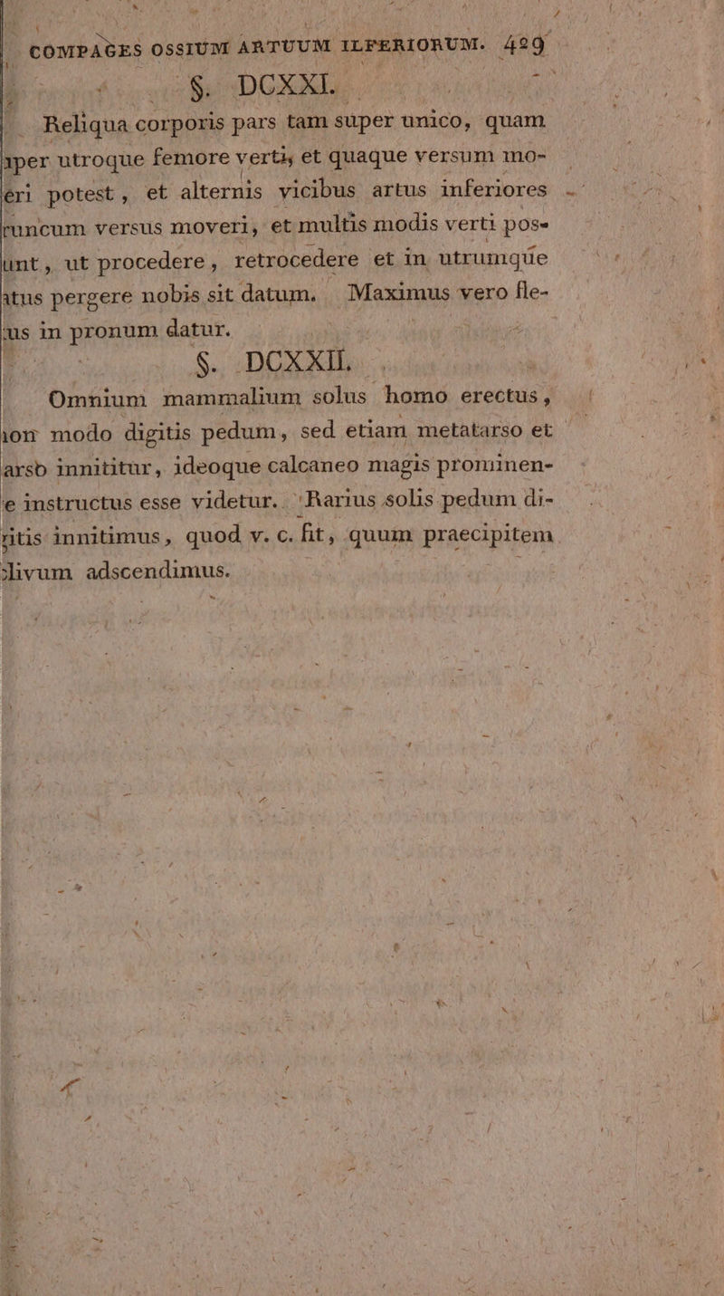 (M i |. COMPAGES OSSIUM ARTUUM ILFERIORUM. 429 EL DG SAEIE 1208 a No EAE Reliqua corporis pars tam super unico, quam 1per utroque femore verts et quaque versum mo- éri potest, et alteruis vicibus artus inferiores runcum versus moveri, et multis modis verti pos unt, ut procedere , retrocedere et in utrumqte | atus pergere nobis sit datum. Maximus vero fle- ius in pronum datur. iid S. DCOXXIL. Omnium mammalhum solus homo erectus , i0 modo digitis pedum, sed etiam metatarso et arsb innititur, ideoque calcaneo magis prominen- e instructus esse videtur.. Rarius solis pedum di- ntis innitimus, quod v. c. fit, quum praecipitem divum adscendumus. | b