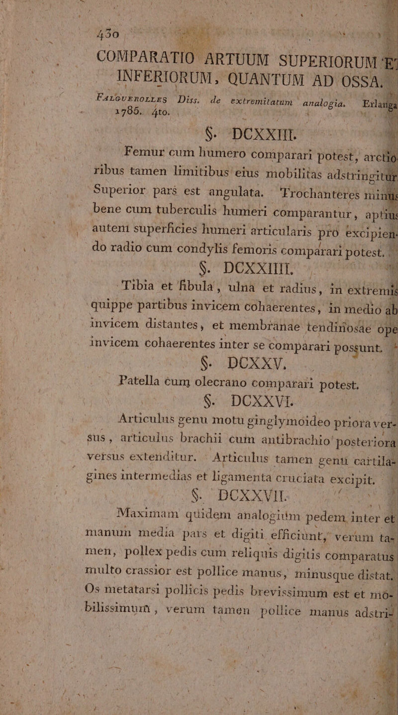 jjà sem T ici ai COMPARATIO- ARTUUM SUPERIORUM E INFERIORUM, QUANTUM AD OSSA. EiiSvbnoibas Diss. de extremitatum analog Ed 1786. 4to. . iab: d on M ^g n pOXXHE ^: D Femur cum humero: comparari potest, arctió d ribus tamen limitibus eius mobilitas WE Superior pars est angulata. Frochanteres inus bene cum tuberculis humeri comparantur, ip auteni superficies humeri articularis pro excipien. : do radio cum condylis femoris comparari potest. » S. DOXITITA rS Tibia et fibula 1 ulna et radius, 1 m extendi quippe partibus i invicem Cohaerentes, in medio al invicem distantes, et membranae tendirosae ope invicem cohaerentes inter se compárari possunt, » $. DOXXV, 7 Patella cum olecrano comparari potest. | $. DOXXVL vo! Articulus genu motu ginglymoideo priora vere Sus, articulus brachii cum antibrachio' posteriora vetsus extenditur. Ar ticulus tamen genti cartilas gines intermedias et li gamenta cruciata excipit. - T/ .UOUMEN Ner DOX XVII. À ' $1 id Maximam quidem analogiim pedem inter et. manum media pars et digiti efficiunt verum ta- men, pollex pedis cum reliquis digitis comparatus j multo crassior est pollice manus, minusque distat, Os metatarsi pollicis pedis brevissimum est et mó-. bilissimum, verum tamen. pollice manus adstrid sos ] j | E