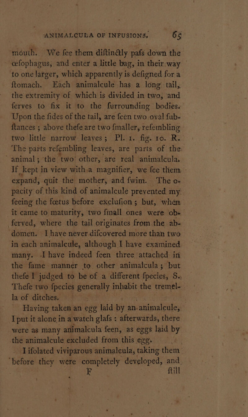 mouth. We fee them diftin@ly pafs down the cefophagus, and enter a little bag, in their way — to one larger, which apparently is defigned for a ftomach. Each animalcule has a long tail, the extremity of which is divided in two, and — ferves to fix it to the furrounding bodies. Upon the fides of the tail, are feen two oval fub- | ftances ; above thefe are two {maller, refembling two little narrow leaves; Pl. 1. fig. 10. R. The parts refembling leaves, are parts of the  animal; ‘the ‘two’ other, are real animalcula, If “kept j in view with.a magnifier, we fee them - expand, quit the mother, and fwim. The o- pacity of this kind of animalcule prevented my. feeing the foetus before exclufion; but, when it came to maturity, two fmall ones were ob« ferved, where the tail originates from the ab- domen. Ihave never difcovered more than two in each animalcule, although I have examined many. -I have indeed feen three attached in the fame manner to other animalcula; but thefe I judged to be of a different islet Se) Thefe two f{pecies generally inhabit the tremel- — la of ditches. e - Having taken an ese laid By an. animaleule;. I put it alone ina watch glafs : afterwards, there were as many animalcula feen, as eggs laid by the animalcule excluded from this egg. , _ Lifolated viviparous animaleula, taking them ‘before they were completely developed, and. . | fill