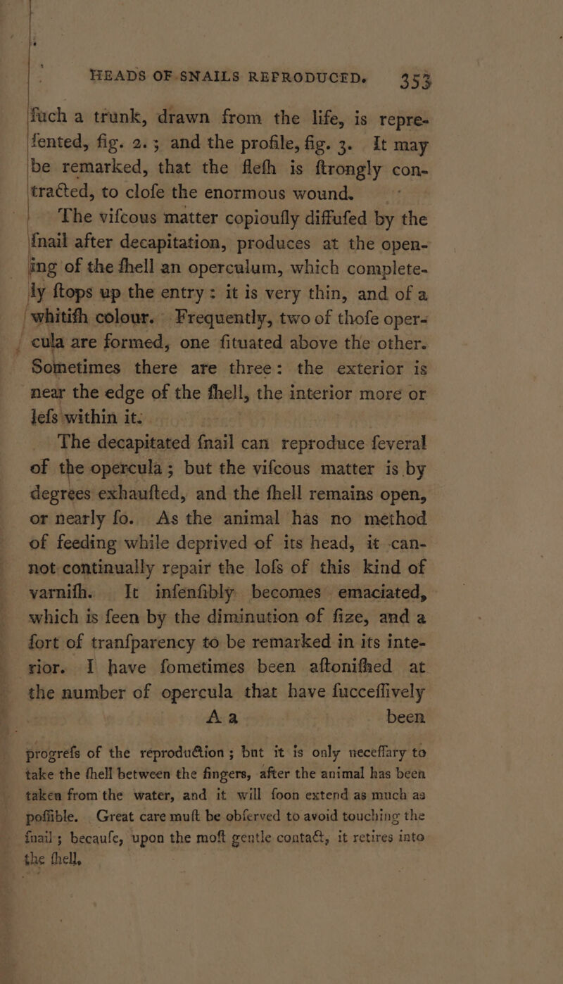 fuch a trunk, drawn from the life, is repre- fented, fig. 2.5; and the profile, fig. 3. It may be remarked, that the flefh is ftrongly con- tracted, to clofe the enormous wound. | The vifcous matter copioufly diffufed by the {nail after decapitation, produces at the open- ing of the thell an operculum, which complete- ly {tops up the entry: it is very thin, and of a ‘whitifh colour. Frequently, two of thofe oper- i cula are formed, one fituated above the other. - Sometimes there are three: the exterior is near the edge of the fhell, the interior more or lefs within it: The-decapikated fnail can reproduce feveral of the opercula; but the vifcous matter is by degrees exhaufted, and the fhell remains open, or nearly fo. As the animal has no method of feeding while deprived of its head, it -can- not continually repair the lofs of this kind of varnifh. It infenfibly becomes emaciated, which is feen by the diminution of fize, and a fort of tranfparency to be remarked in its inte- rior. I have fometimes been aftonifhed at the number of opercula that have fucceflively : Aa been progrefs of the reproduétion ; but it is only neceffary to take the fhell between the fingers, after the animal has been taken from the water, and it will foon extend as much as poflible. Great care muft be obferved to avoid touching the {nails becaufe, pant the moft gentle contact, it retires into the thell,