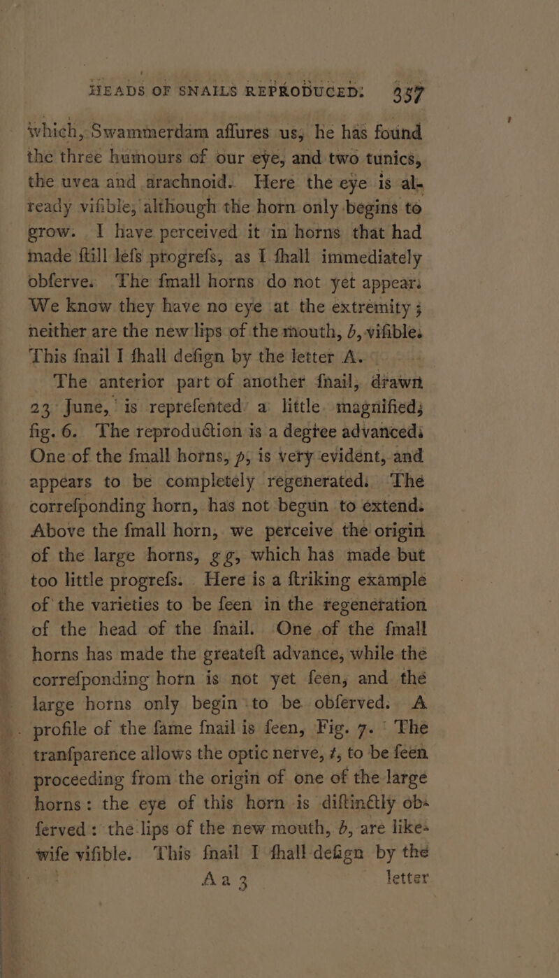 which, Swammerdam affures us; he has found the three humours of our eye, and two tunics, the uvea and arachnoid. Here the eye is al. ready vifible; although the horn only begins to grow. | have perceived it in horns that had made {till lefs progrefs, as I fhall immediately obferve. The fmall horns do not yet appear. We know they have no eye at the extremity ; neither are the new lips of the mouth, J, vifible. This fnail I fhall defign by the letter A. The anterior part of another fnail, drawn 23 June, is reprefented: a little. magnified; fig. 6. The reproduction is a degtee advancedi One of the fmall horns, p, is very evident, and appears to be completely regenerated: ‘The correfponding horn, has not begun to extend. Above the fmall horn, we perceive the origin of the large horns, gg, which has made but too little progrefs. Here is a ftriking example of the varieties to be feen in the regeneration of the head of the fnail. One of the fmall horns has made the greateft advance, while the correfponding horn is not yet feen; and thé large horns only begin to be obferved: A tranfparence allows the optic nerve, #, to be feen proceeding from the origin of one of the large horns: the eye of this horn is diftin@ly obs ferved: the-lips of the new mouth, 4, are likes Aa 3 letter