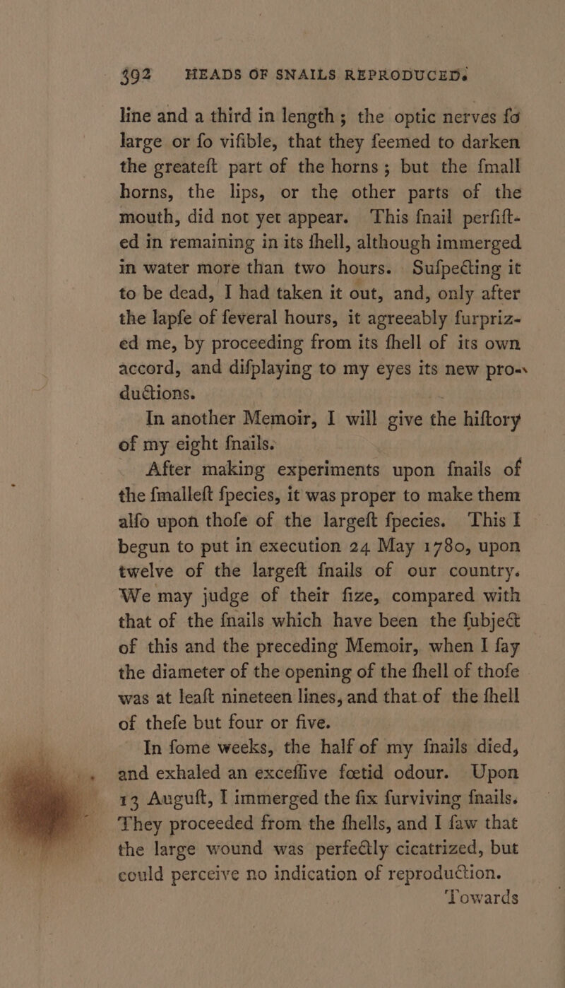 line and a third in length; the optic nerves fo large or fo vifible, that they feemed to darken the greateft part of the horns; but the fmall horns, the lips, or the other parts of the mouth, did not yet appear. ‘This fnail perfift- ed in remaining in its fhell, although immerged in water more than two hours. SufpeCting it to be dead, I had taken it out, and, only after the lapfe of feveral hours, it agreeably furpriz- ed me, by proceeding from its fhell of its own accord, and difplaying to my eyes its new pro-. ductions. In another Memoir, I will give the hiftory of my eight fnails. After making experiments upon fnails of the fmalleft fpecies, it was proper to make them alfo upon thofe of the largeft fpecies. This I begun to put in execution 24 May 1780, upon twelve of the largeft {nails of our country. We may judge of their fize, compared with that of the {nails which have been the fubjec of this and the preceding Memoir, when I fay the diameter of the opening of the fhell of thofe - was at leaft nineteen lines, and that of the fhell of thefe but four or five. In fome weeks, the half of my {nails died, and exhaled an exceflive foetid odour. Upon 13 Auguft, I immerged the fix furviving f{nails. They proceeded from the fhells, and I faw that the large wound was perfectly cicatrized, but could perceive no indication of reproduction. ‘Towards