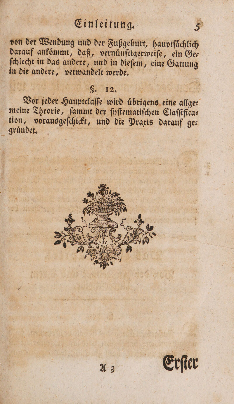 von der Wendung und der Fußgeburt, hauptfächlich darauf ankoͤmmt, daß, vernuͤnftigerweiſe, ein Ger ſchlecht in das andere, und in dieſem, eine Gattung in die andere, verwandelt werde. | ' 5 J Vor jeder Hauptelaſſe wird übrigens. eine allge⸗ meine Theorie, ſammt der ſyſtematiſchen Claſſifica⸗ tion, vorausgeſchickt, und die Praxis darauf ge: gründet, A 3 Erſter