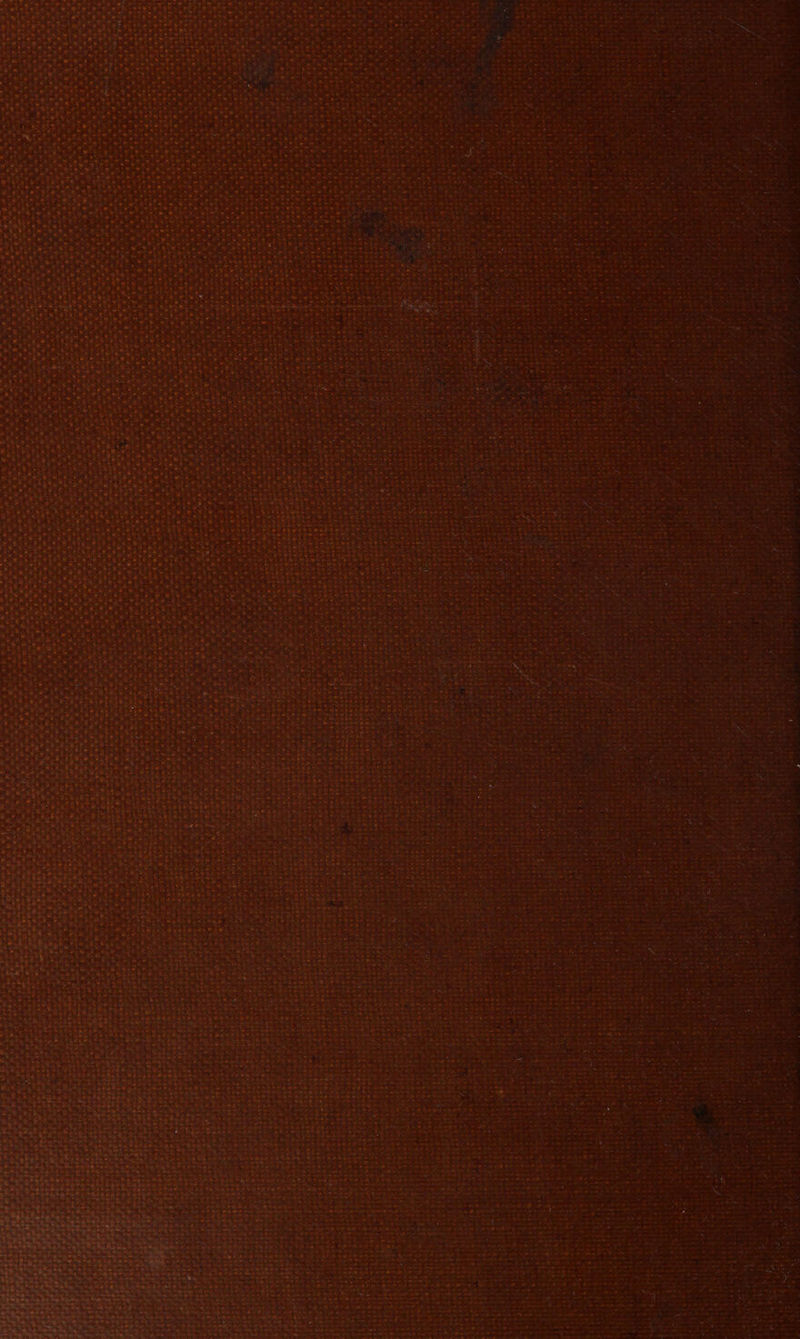 > erro sets nih BN wiart eeeaee wy ti baa racers’ k , qiyt a eat es eige caren : Aunts , ‘ . ’ el ist aac duanes a8, Fp, o >