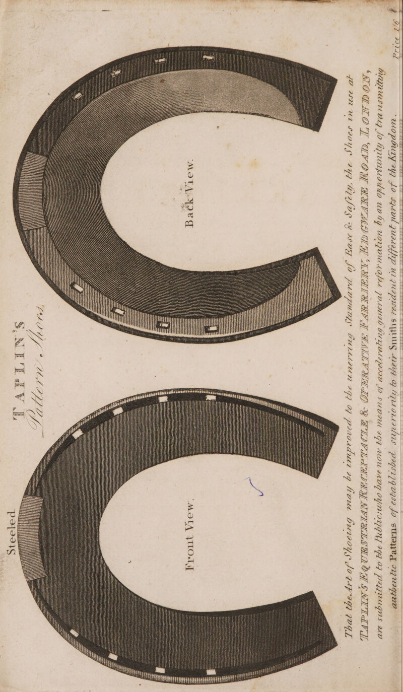 g 97T PMd bumruise 2.12 Jo Aqnupioddo Ung UonQwU4Afel PVALIUIO GULDOLIQIIIO JO SUBIU OG HAUL UAMO 8 HUD PICHADLY NOLS WD OY S SUT PIL wdutr sg Kove Gury Jo gle ‘NOGNO']l ‘UV OY HAPMD HH KAA HP Af He - ayy hj~og 3 wy fo penpuay CUlMtIUn +9] OY pe200 : eo poury 2y9 Jo gto quacaLhp a) JULI PISAL sUyLiug ALdYfp OD MAYA OLLI sas P2YS2)9V 28d Jo SUIYEY 927 209G7nD Q UU IADY OYMINDQH] 994 2] PAUUGNS Iv 7Y #2 U1 SIOYY ‘MOTA 4 ie MOTAIQe T HM ijanany Vite } bi PLOY f° sap oe = 3 c iy ,  Sees bi se AVN S,NDE AV Ws
