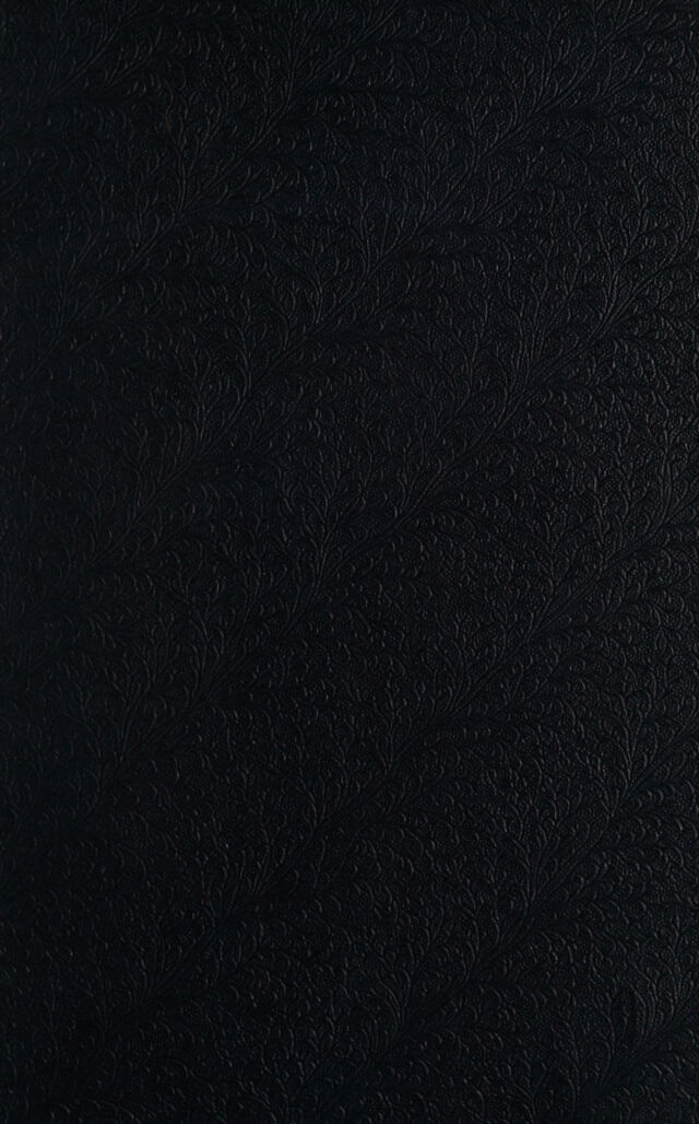 digitised image 1