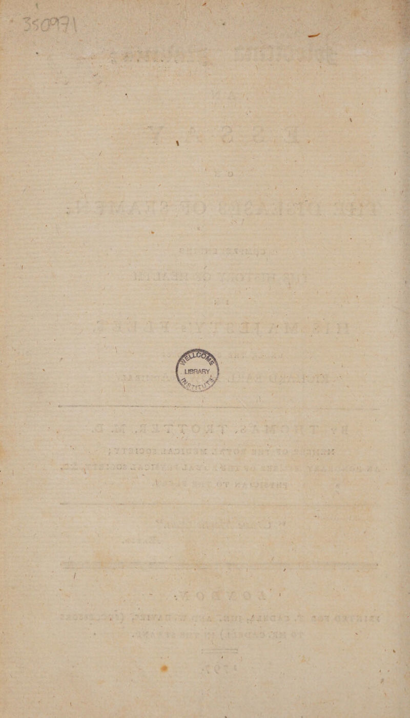 Ser Ts Pet 4 2 hve ee my ee ee wi o ¥ Aare we mie ee oS fe a ee i SA ee rae y 4) Page Be shed ‘ pos pat ea ini: = i eit. ee sets: ee. oe oie aa aid i, » r ‘ ek Sa, Tis ey ae , Nes wh pea ae i re a 3% ie + - va sc » ti . ‘Sagnaticouh): em sn WSR PEE ORS To St CATH ET &amp; + 3 34 Ficsd iam oe ae