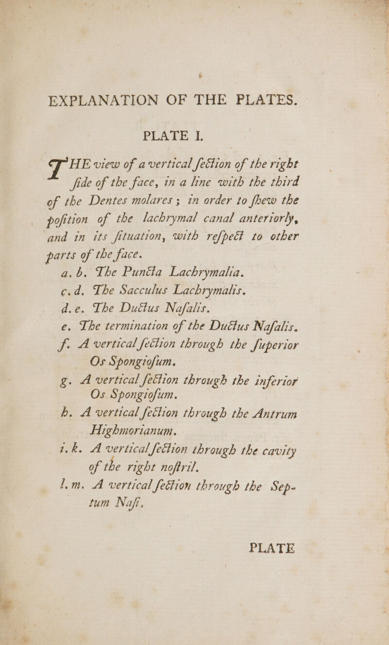 &amp; EXPLANATION OF THE PLATES. PLATE 1 HE view of avertical fection of the right fide of the face, in a line with the third of the Dentes molares ; in order to fhew the pofition of the lachrymal canal anteriorly, and in its fituation, with refpec# to other parts of the face. a.b. The Puntta Lachrymaha. c.d. The Sacculus Lachrymalis. d.e. The Duétus Nafalis. e. The termination of the Duétus Nafalis. jf. A vertical fection through the Superior Os Spongiofum. g. A vertical fection through the inferior Os. Spongiofum. b. A vertical fection thr ee the Baim Highmorianum. tk. A vertical fection through the cavity of the right noftril. 1m. A vertical fettion through the Sep- tum Naf. PLATE