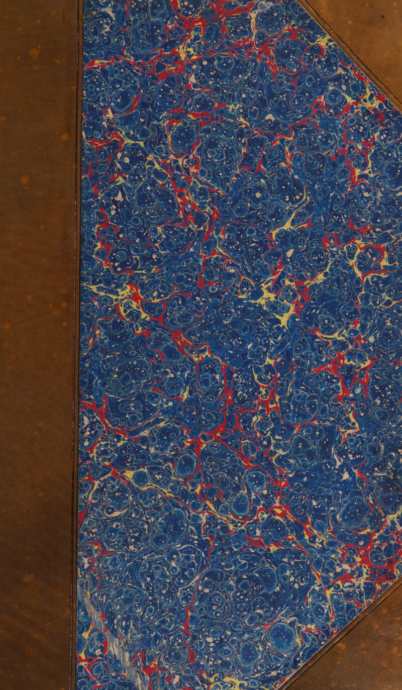 No text description is available for this image