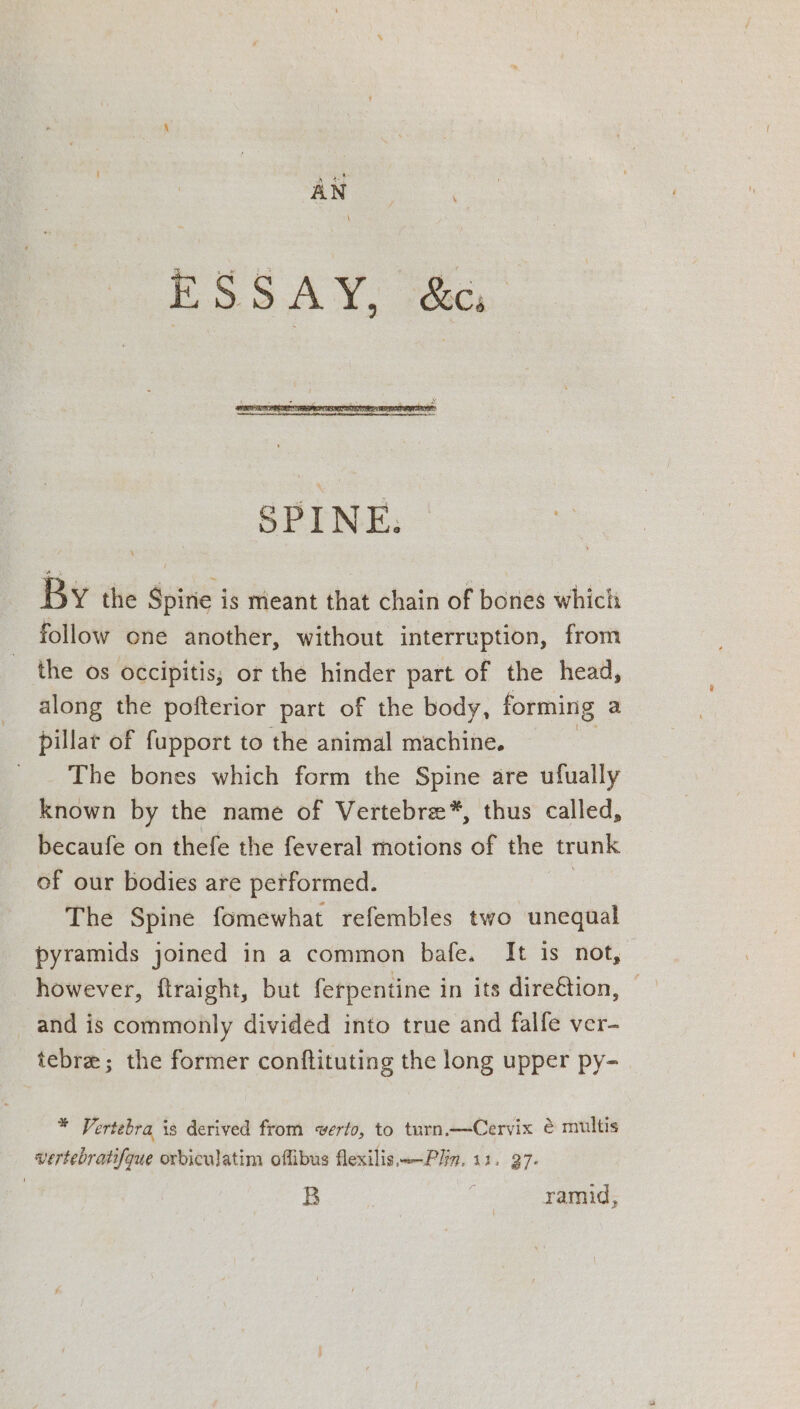 ESSAY, &amp; By the Spine is meant that chain of bones which follow one another, without interruption, from the os occipitis; or the hinder part of the head, _ along the pofterior part of the body, forming a pillar of fupport to the animal machine. _. The bones which form the Spine are ufually known by the name of Vertebre*, thus called, becaufe on thefe the feveral motions of the trunk of our bodies are performed. | The Spine fomewhat refembles two unequal pyramids joined in a common bafe. It is not, however, ftraight, but ferpentine in its dire@tion, and is commonly divided into true and falfe ver- tebre; the former conftituting the long upper py- * Vertebra is derived from verto, to turn.—Cervix ¢ multis vertebratifque orbiculatim offibus flexilis.—Plin. 11. 37. B : ramid,