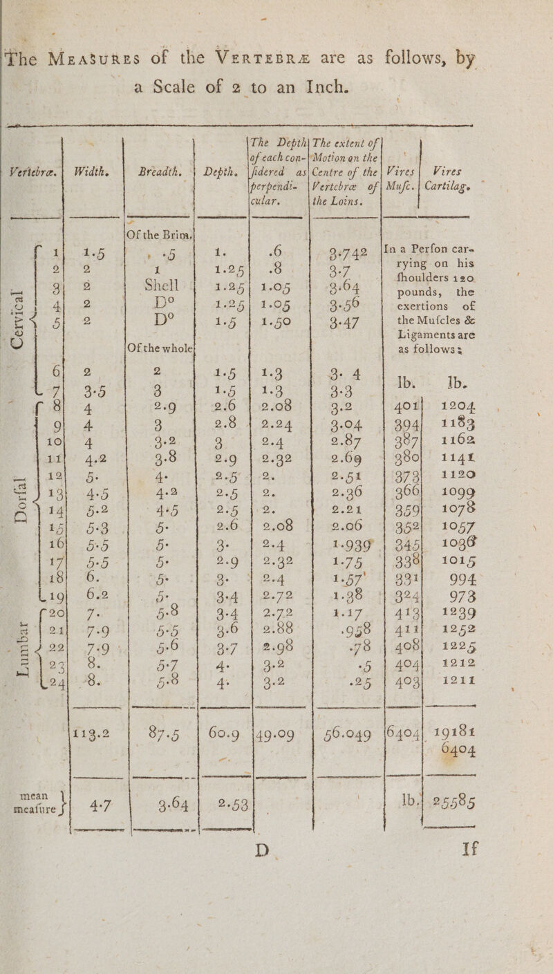 ~ The Measures of the VertzBre are as follows, by — a Scale of 2 to an Inch. 3, The Depth) The extent of jof cach con-\'Motton on the [fidered as|Centre of the Vires| Vires perpendi- \Vertebre of| Mufc.| Cartilag. cular. ihe Loins. ea ce a ee ee ee Se ee erence: |S, SAP, Vertebra.| Width. Breadth. | Depth. Of the Brina. Pte 25 Sy - t. 6 9.742 {Ina Perfon car- 2 S a 1.25 ee 2.7 | rying on his os 3 eae ‘Shell 1:25) 1.05 3.64 poner . ea Te 15) 1 os 3.56 . Hgas oe ee O } exertions oO hey 41 2 D° 136 4 1.80 3.47 the Mufcles &amp; oo } = Ligaments are ) 'S) Of the whole as follows: A 6| 2 2 ff 119 ee fp de 4 <3 ee . 8) 4 2.9 2.6 | 2.08 3.2 401] 1204 OL 4 3 2.8 4 2.24 3.04 394; 1183 10} 4 9.8, 3 2.4 2.87 907) 1162 Hi} * 4.2 G01] hig 1.0.92 2.69 | 980) 114f Se of aly es 4 25 4-2. 2.54 37.3 1120 SJ 13) 4.5 4.2 D5 |b 2 2.26 1099 A 14) §.2 4+5 Oe, 2.21 359} 1078 64 tl 58 5: 2.6. | 2.08 2.06 252) 1057 16} &amp;5 5: 3: | 2.4 1.939 | 345, 1038 17) 5-5 Be 8.9 | 2.98 175.) 29@- 1085 18} 6. 5 os ed 1.67 H geil. 904. L190} 6.2 _ be G.42 12.70 1.98 11 @24l. 973 ts ale &amp; 5:8 Qa 1 272 AAT | AUS 1236 | 24] 7.9 55 3.6 | 2.88 958 | 411] 1252 a b IS) 719’ 5-6 8.7 -| 2.98 78 | 408} 1225 ae) 23° 8. 5-7 A 3.2 oh 4 WOe. 1212. a |: 8. 58 4s ia 1 Oe AOay 1214 ~——_ »4o4 coe SONI S eneechthdaaidadeneiinatimiiaaenanaed Dire ph 4% | a0