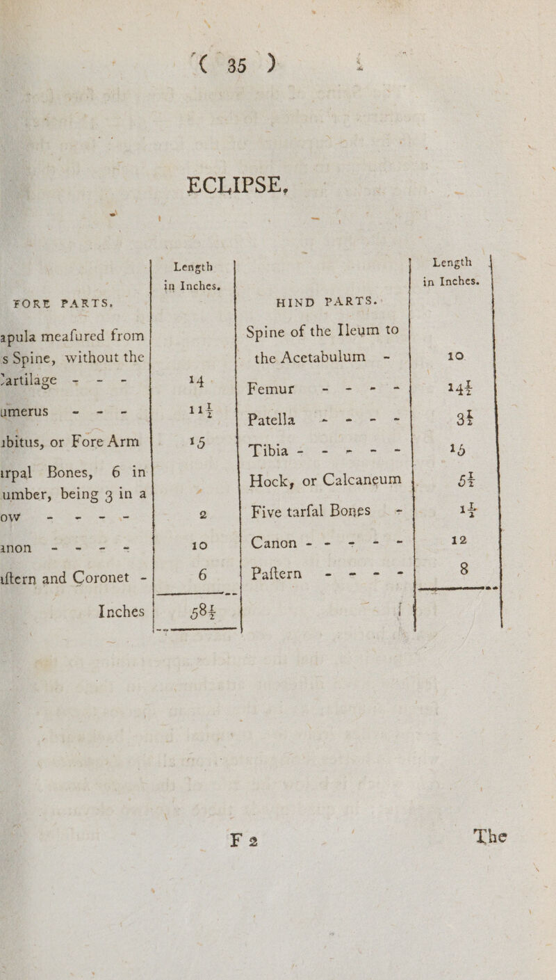 Crago) ( ECLIPSE, = : Length Length | in Inches. in Inches. FORE PARTS. HIND PARTS. : apula meafured from Spine of the Ileurm to s Spine, without the - the Acetabulum - 10. vartilage - - - VA. | . : Femute 4 => 144 umerus ~- =- - 114 = ee . Patella -~ - - - 3h ibitus, or Fore Arm 15 coe | Tibia = - es 15 irpal Bones, 6 in : ae Hock, or Calcaneum { 5E umber, being 3 in a ; | ow - - - = 2 Five tarfal Bones . - | iL anon - = - = 10 Caron - - + + = 12 uftern and Coronet - 6 Paftern - - - > $ Inches 585 aa ~= F 2 é The